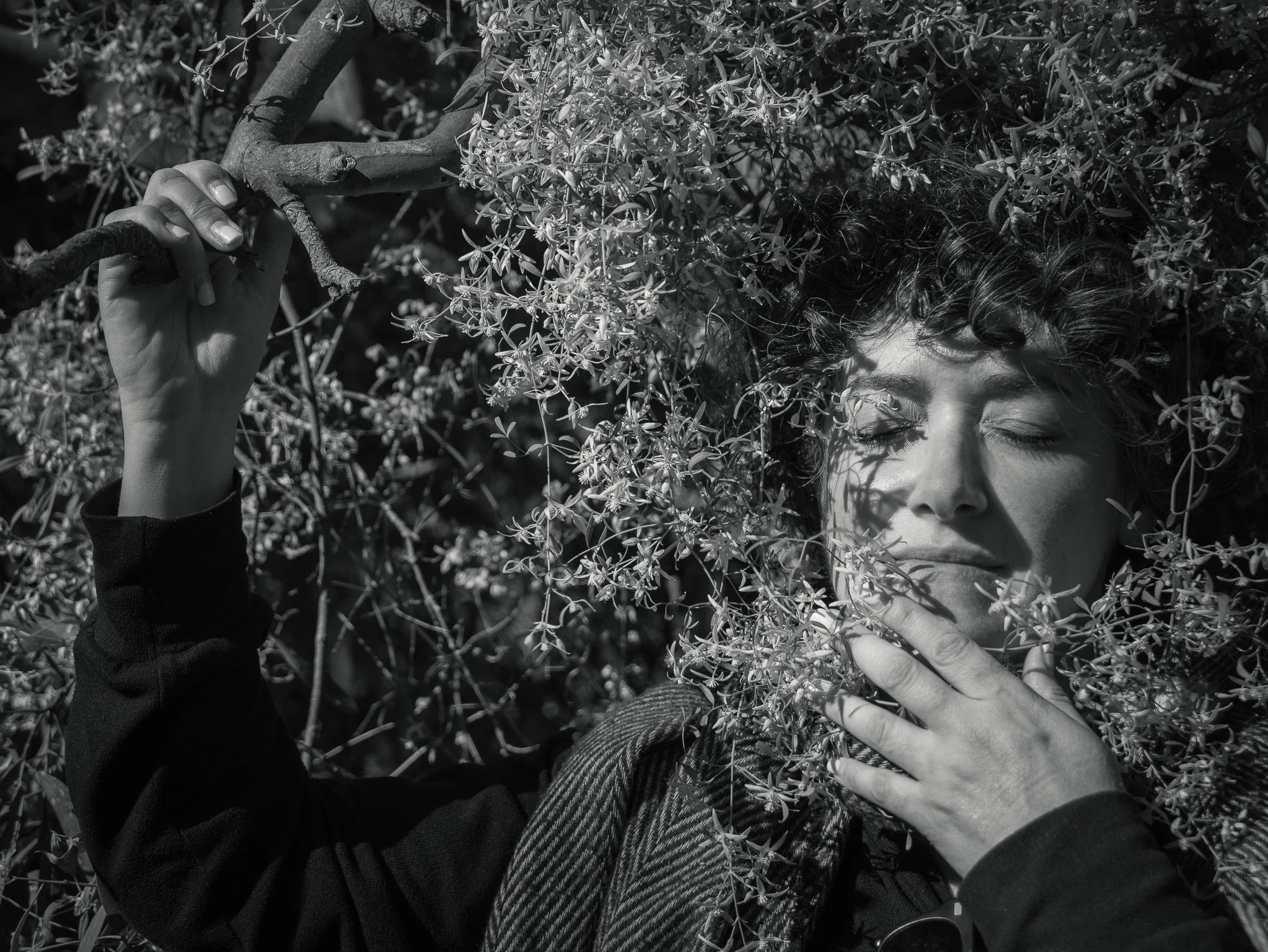 Cle-Ann WOMEN IN TREES.jpg