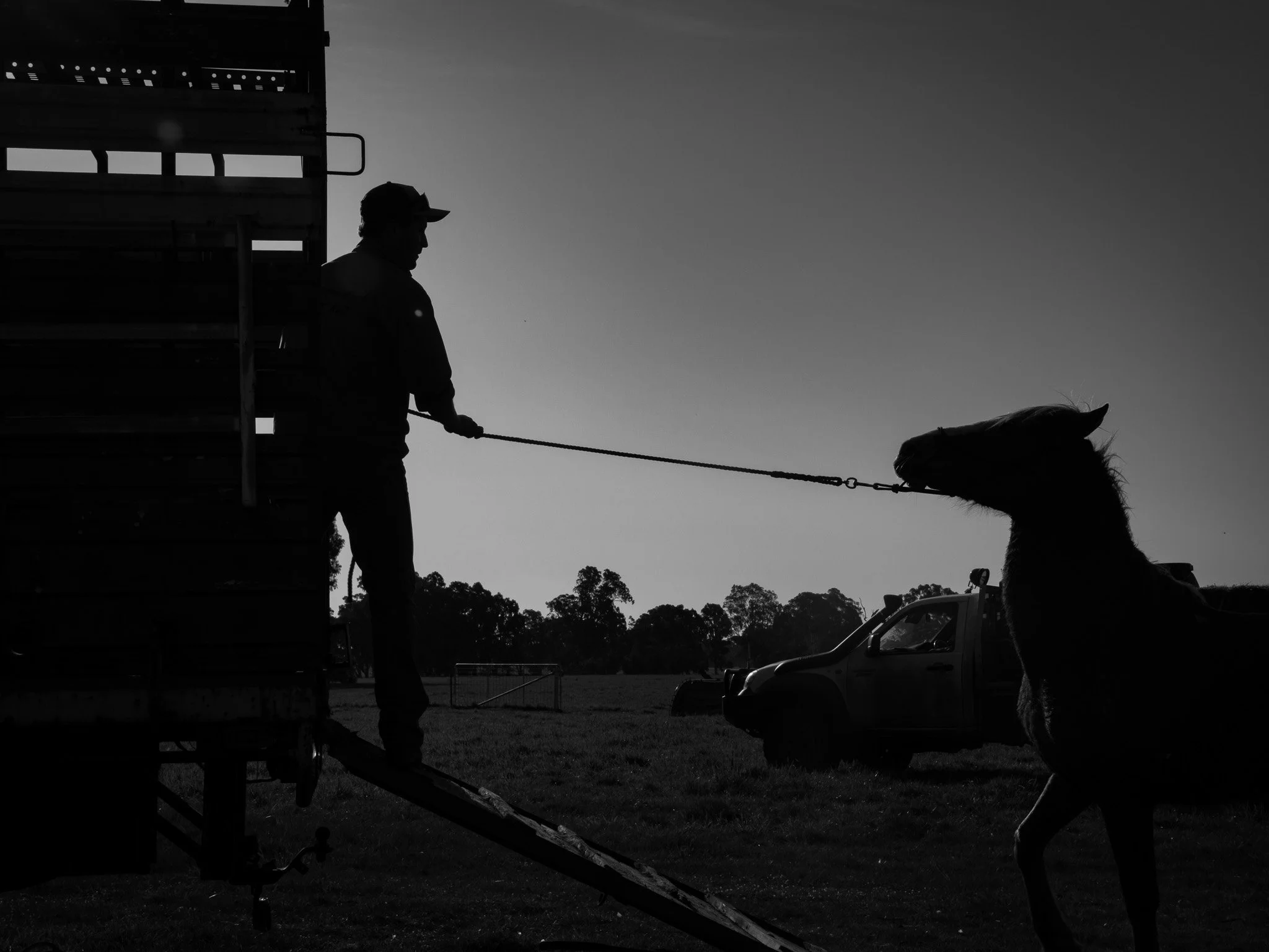 SMALL BIG ADVENTURES BW 19.jpg