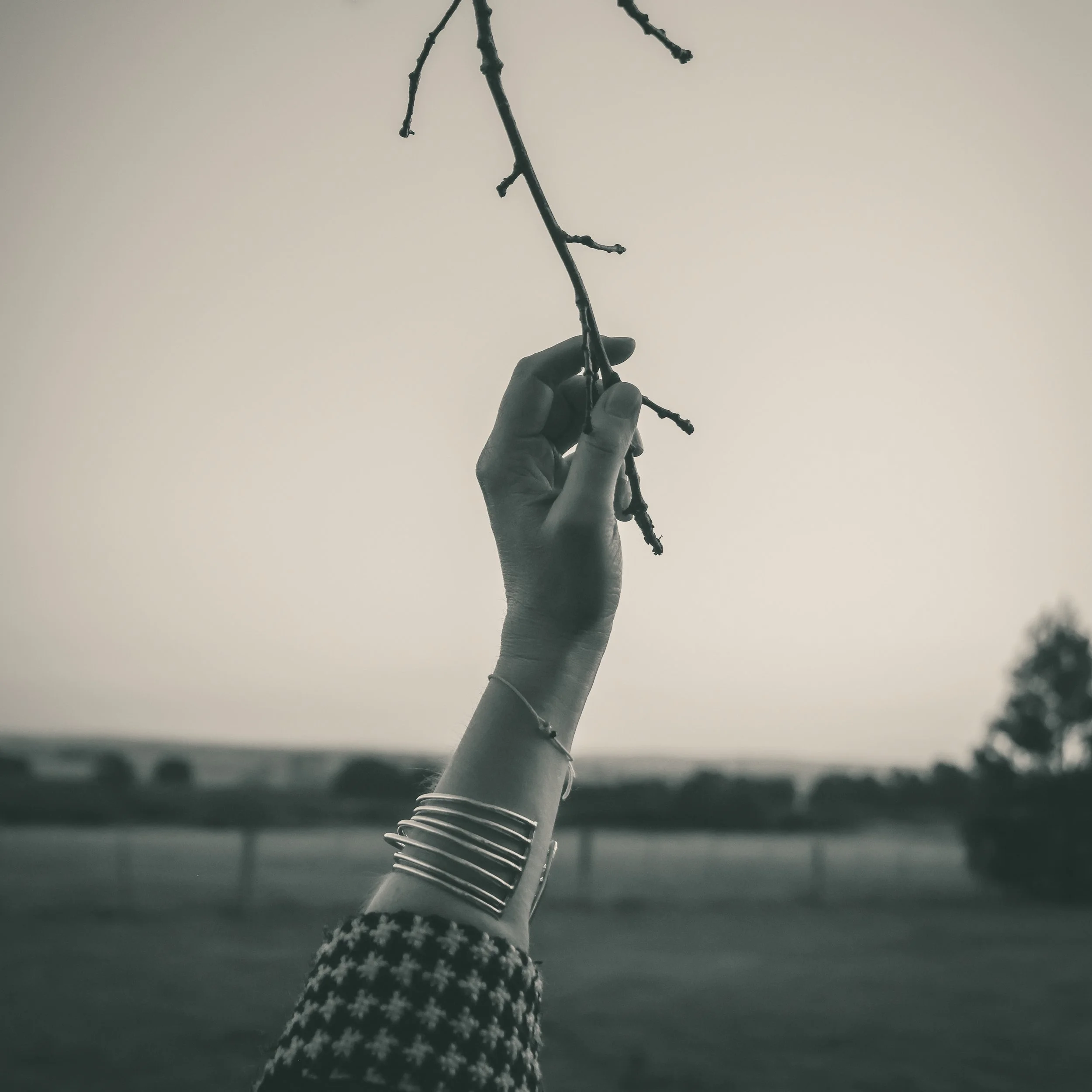 WOMEN IN TREES