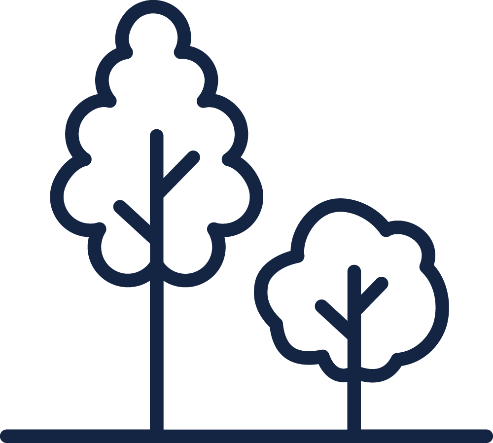 Outline drawing of two trees with simple branches and leaves.