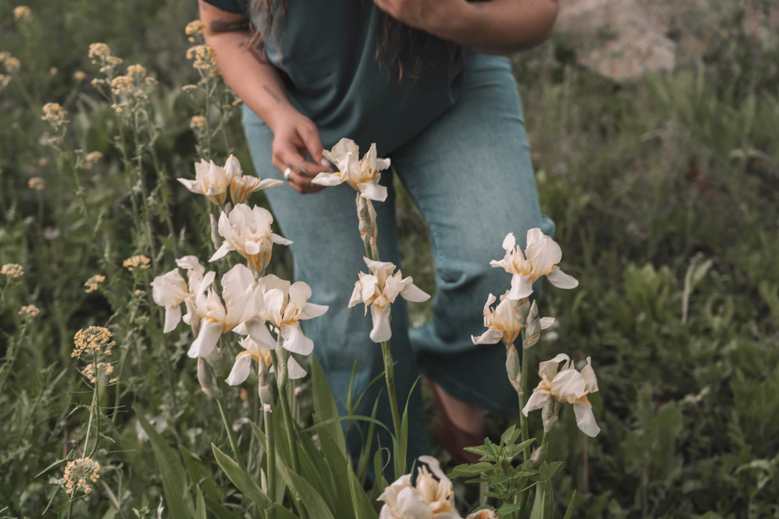 Person crouching in a field of tall, cream-colored irises, holding one of the flowers in their hand. Wearing a dark gray shirt and light blue jeans, with long hair visible.