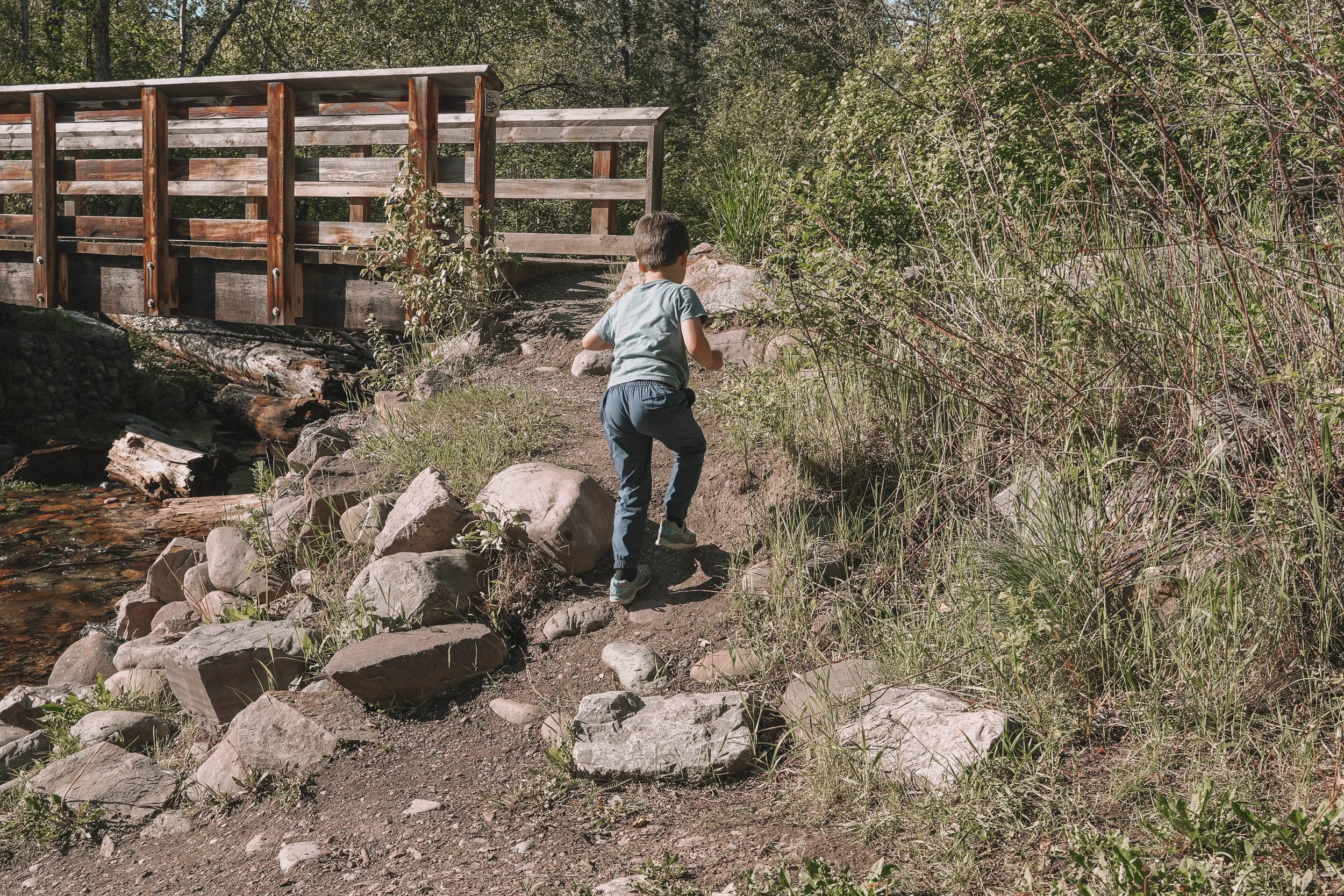 A young boy hiking on a rocky trail near a wooden bridge in a forested area.