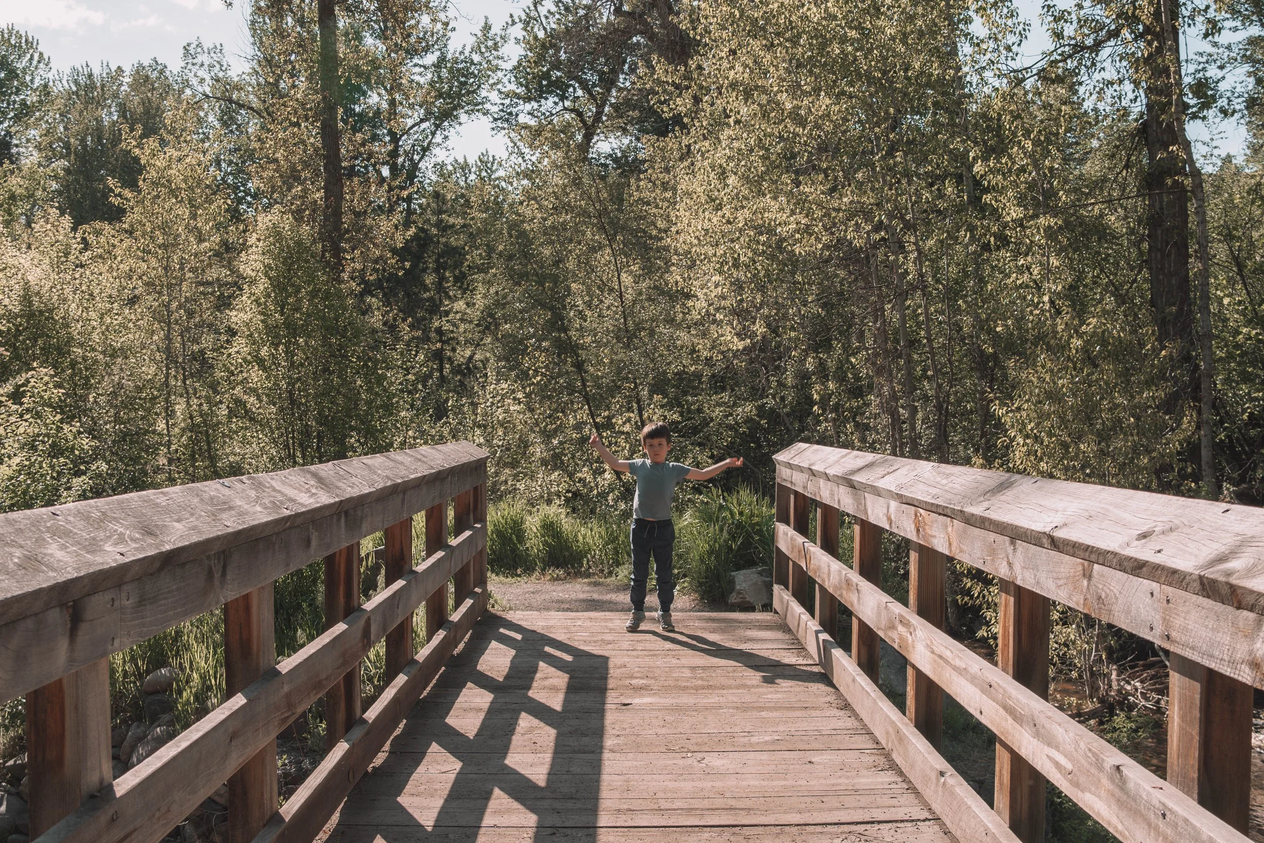 A young boy standing on a wooden bridge in a forest with trees and bushes in the background.