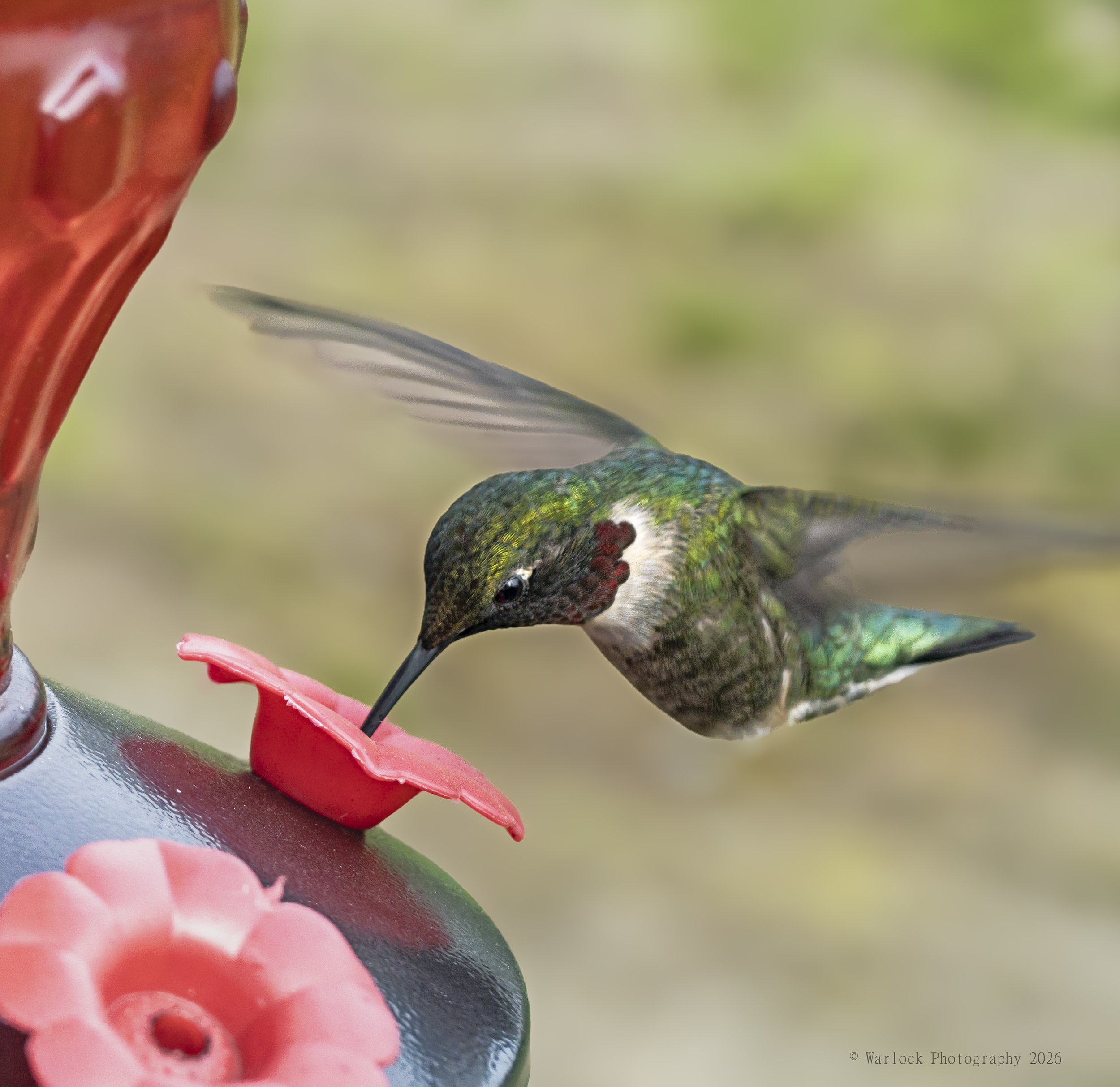 -Quenching The Thirst-.jpg