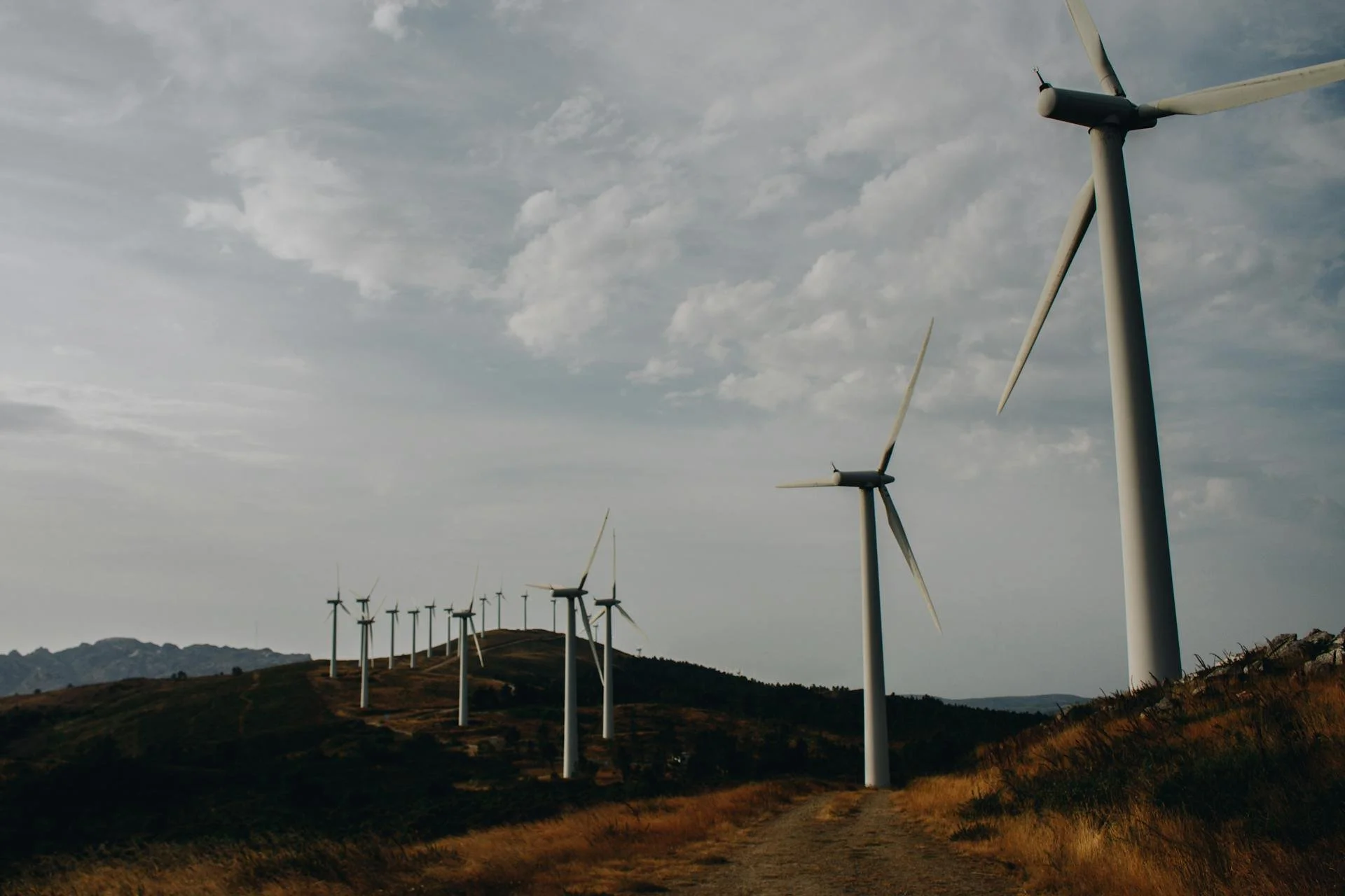 From Consultation to Commercial Partnership: What the CIS Set Aside Asks of Proponents