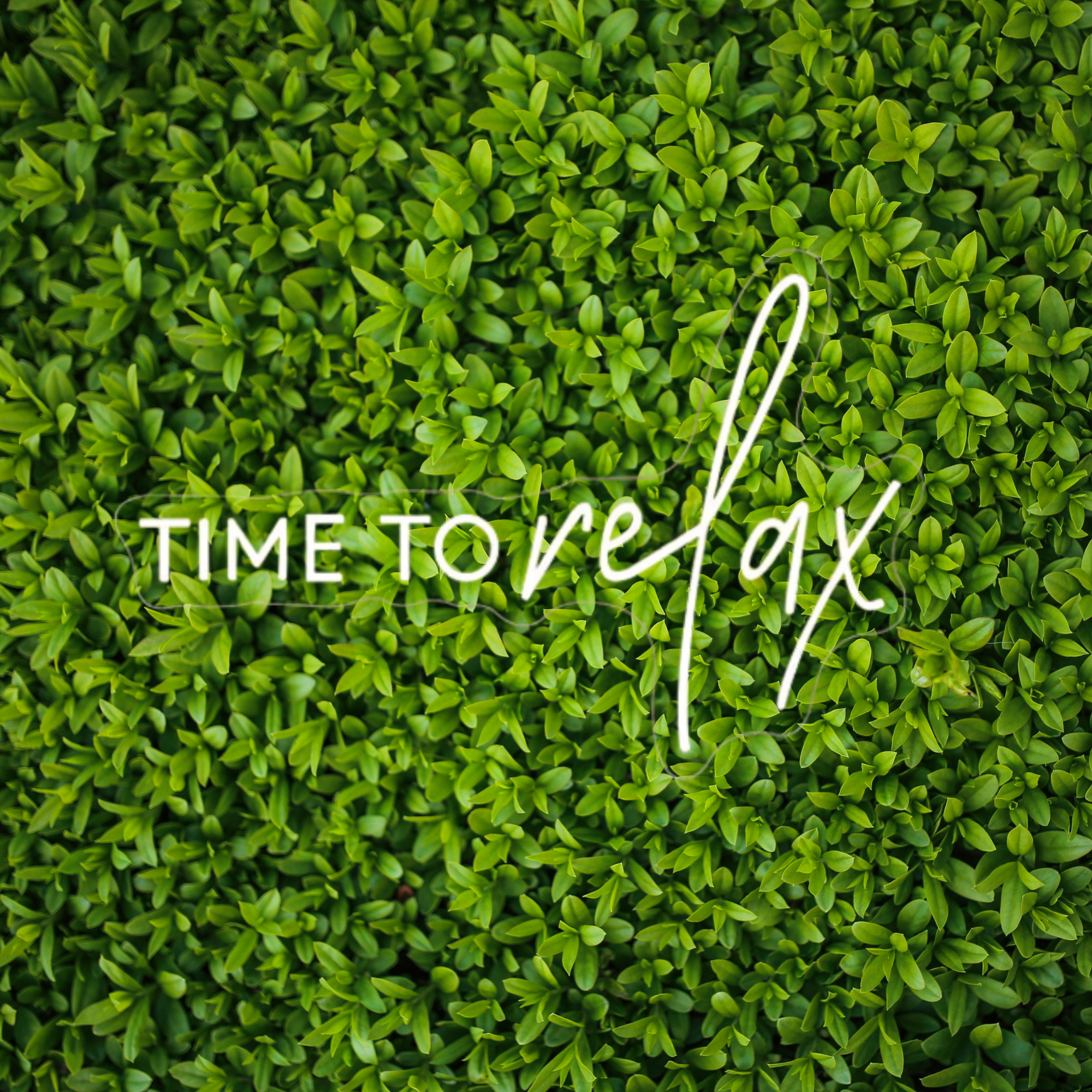 Close-up of a dense green hedge with a white decorative word sign reading 'TIME TO' partially visible at the bottom.
