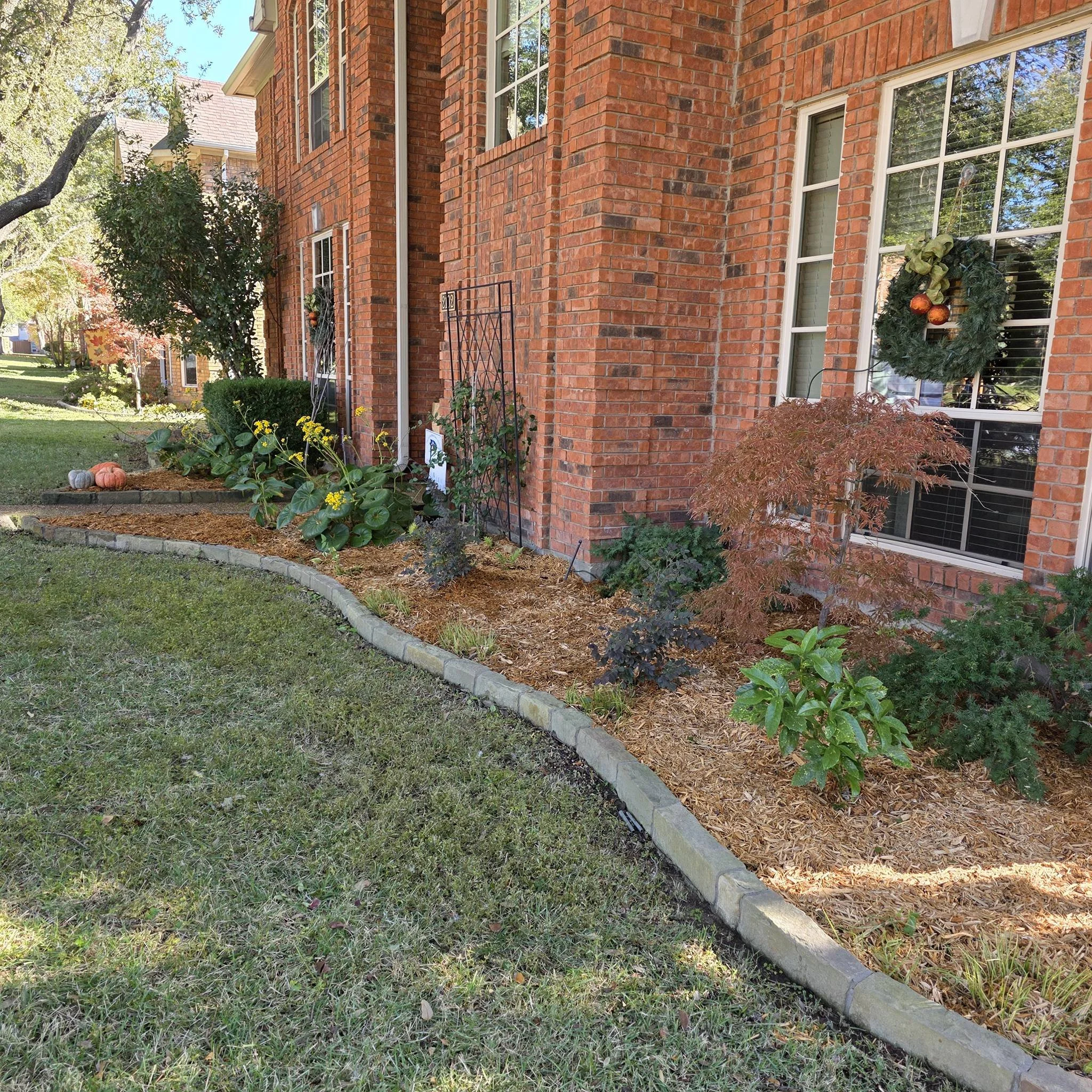 Flowerbed and border