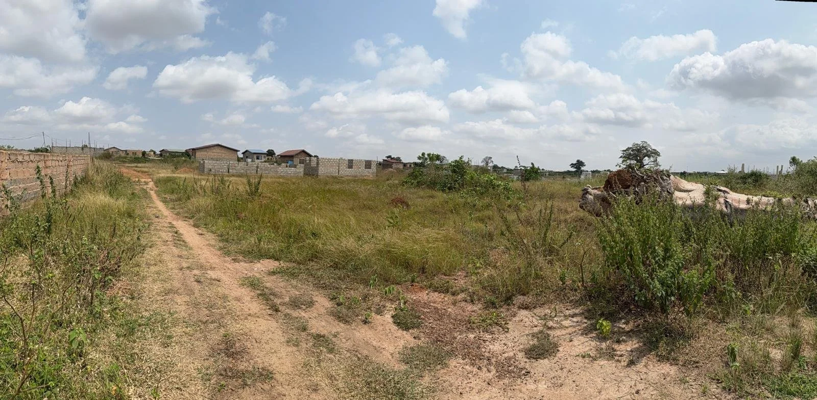 A rural landscape with a dirt path running through grassy land, a herd of cattle laying down near tall grass on the right, and a few houses in the distance under a partly cloudy sky.