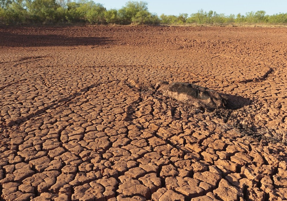 What Happens to Your Rainwater System During a Drought?