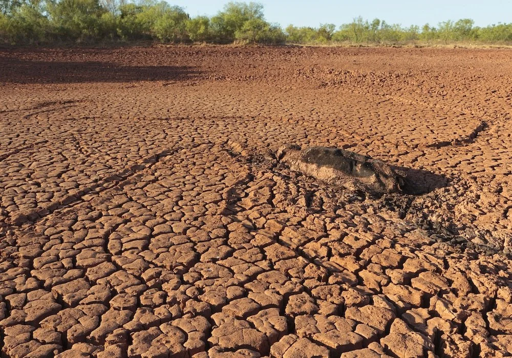 Rainwater storage tank on a dry Central Texas property during drought