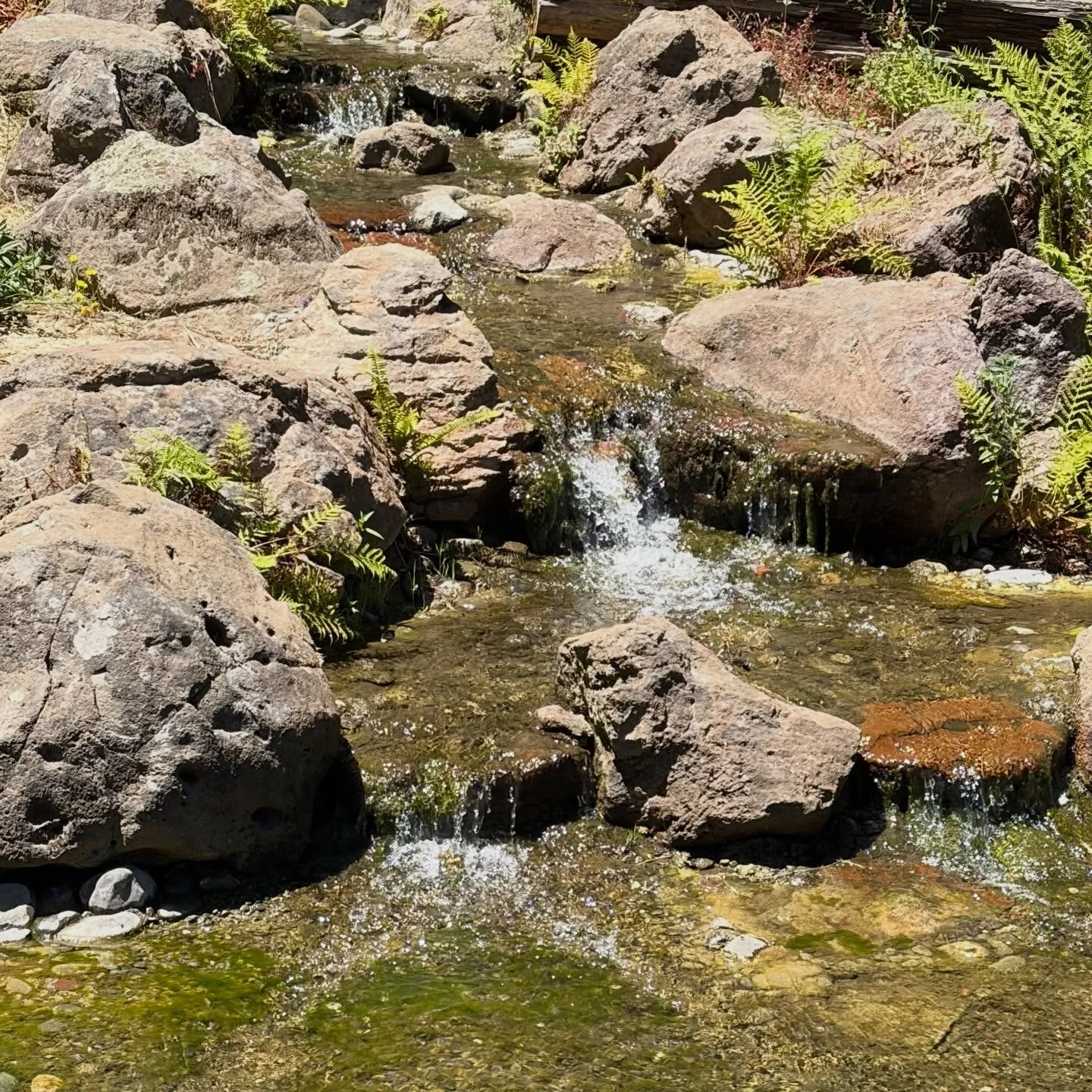 🌿 Try picturing an ocean pulling the water in and out, or the soft tumble of droplets from a waterfall

One thing I&rsquo;ve learned is that no two people cope with labor the same way.

I&rsquo;ve seen some people completely settle into a visualizat