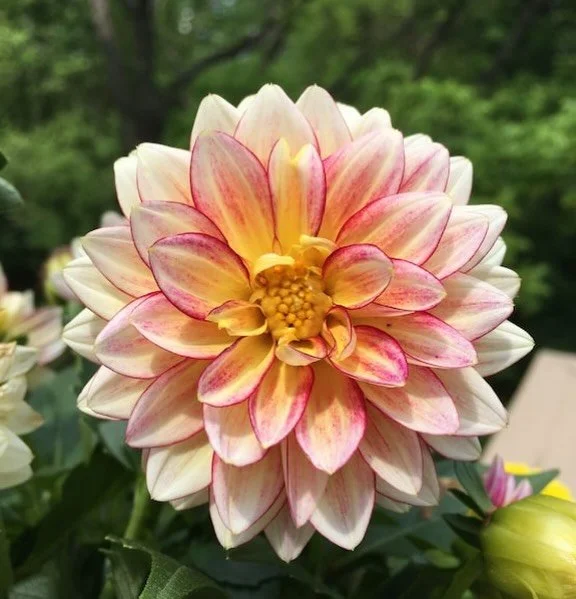 🌸 We talk a lot about pregnancy, birth, and newborns.

But we don&rsquo;t talk nearly enough about what happens to the mother.

Just as adolescence is the transition from childhood to adulthood, matrescence is the transition into motherhood.

It can