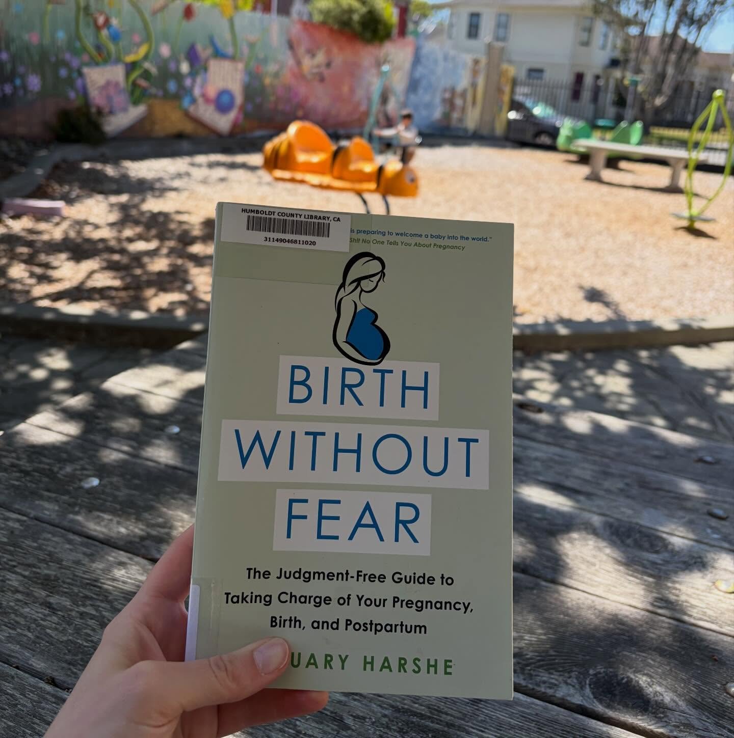 Library haul. 📚🌿

Currently reading Birth Without Fear and adding a few more tools to my doula toolbox.

The more I learn, the better I can support families through pregnancy, birth, and postpartum. ❤️

Have you read this one? What did you think?

