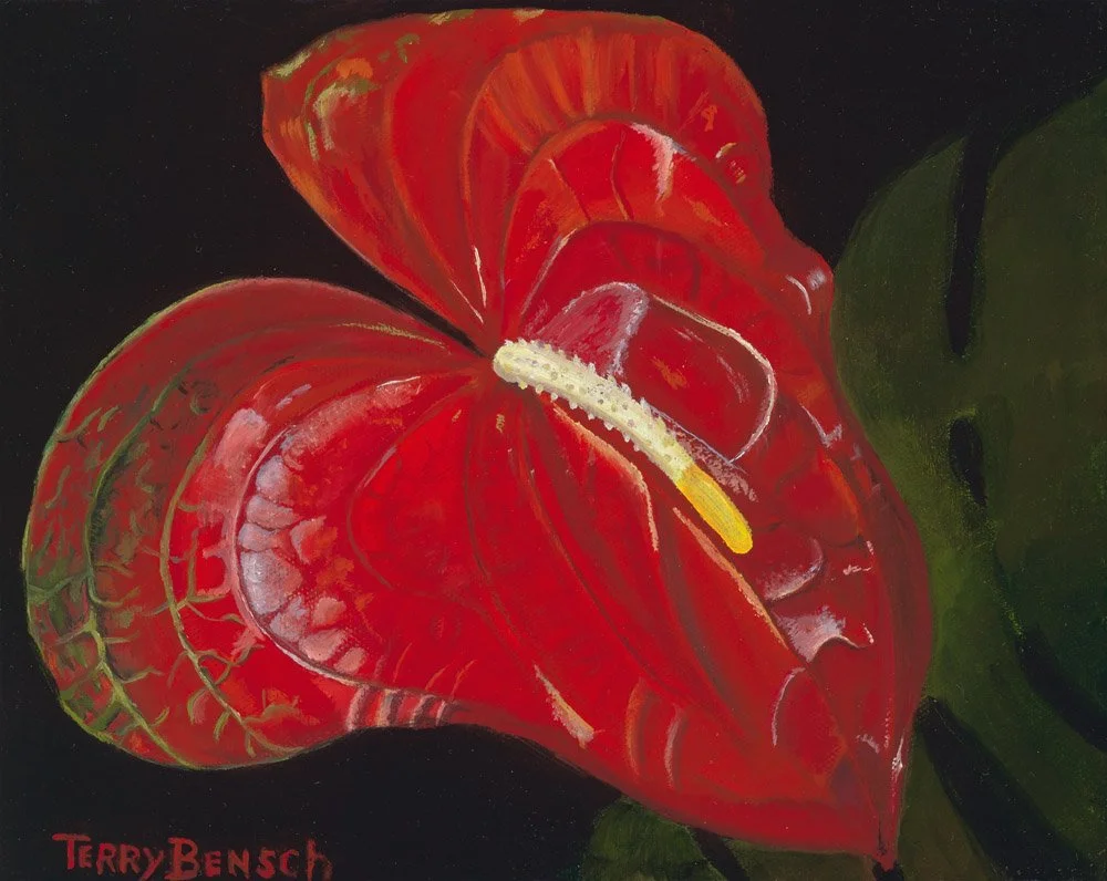Bensch_Red Anthurium_1000px - Copy.jpg