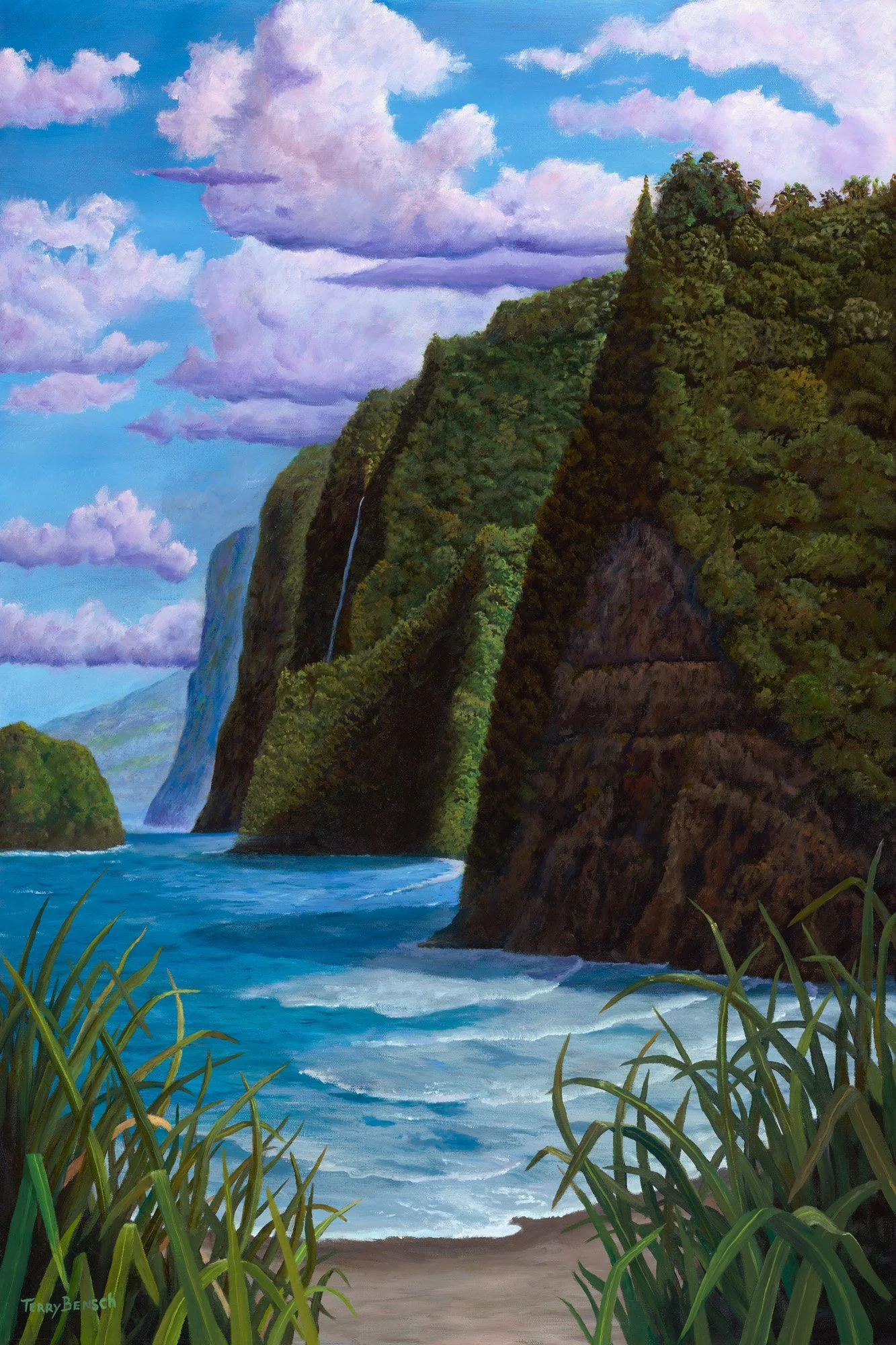 Bensch_Hamakua Coast_2000px.jpg