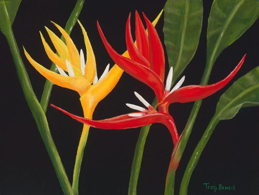Bensch_Bold and Red Heleconia_1000px.jpg