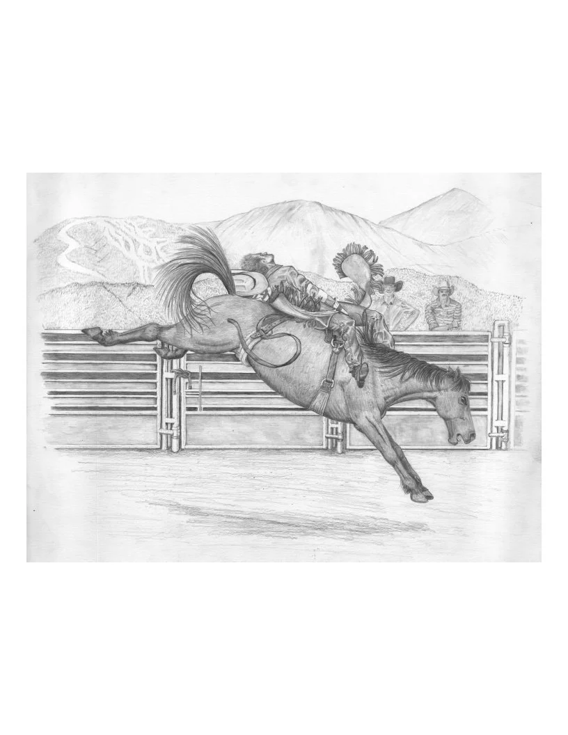 HorseandRider.jpg