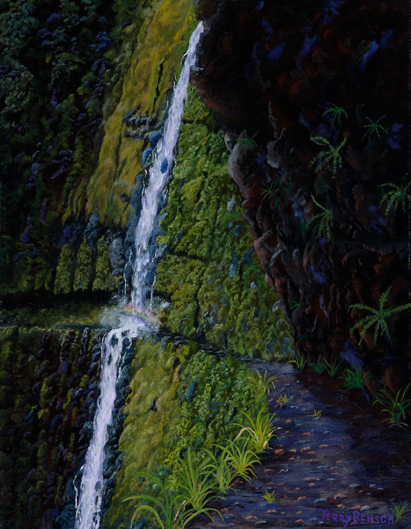 Bensch_Kapaloa Falls Trail_2000px - Copy.jpg