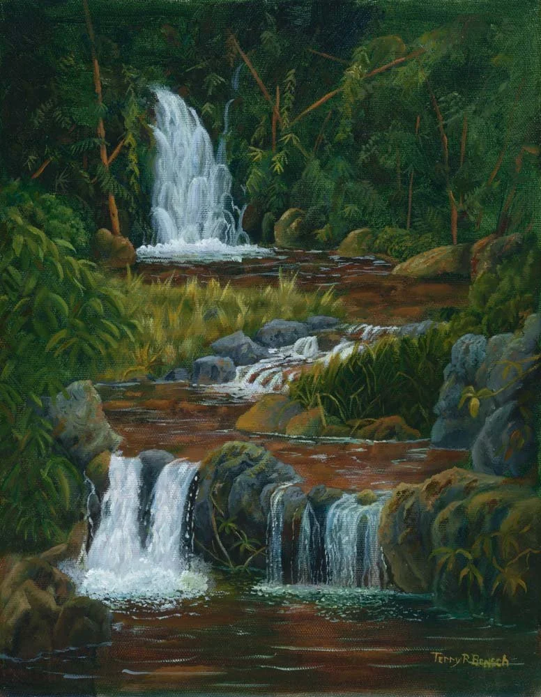 Bensch_Akaka Trail_Scan_1000px - Copy.jpg