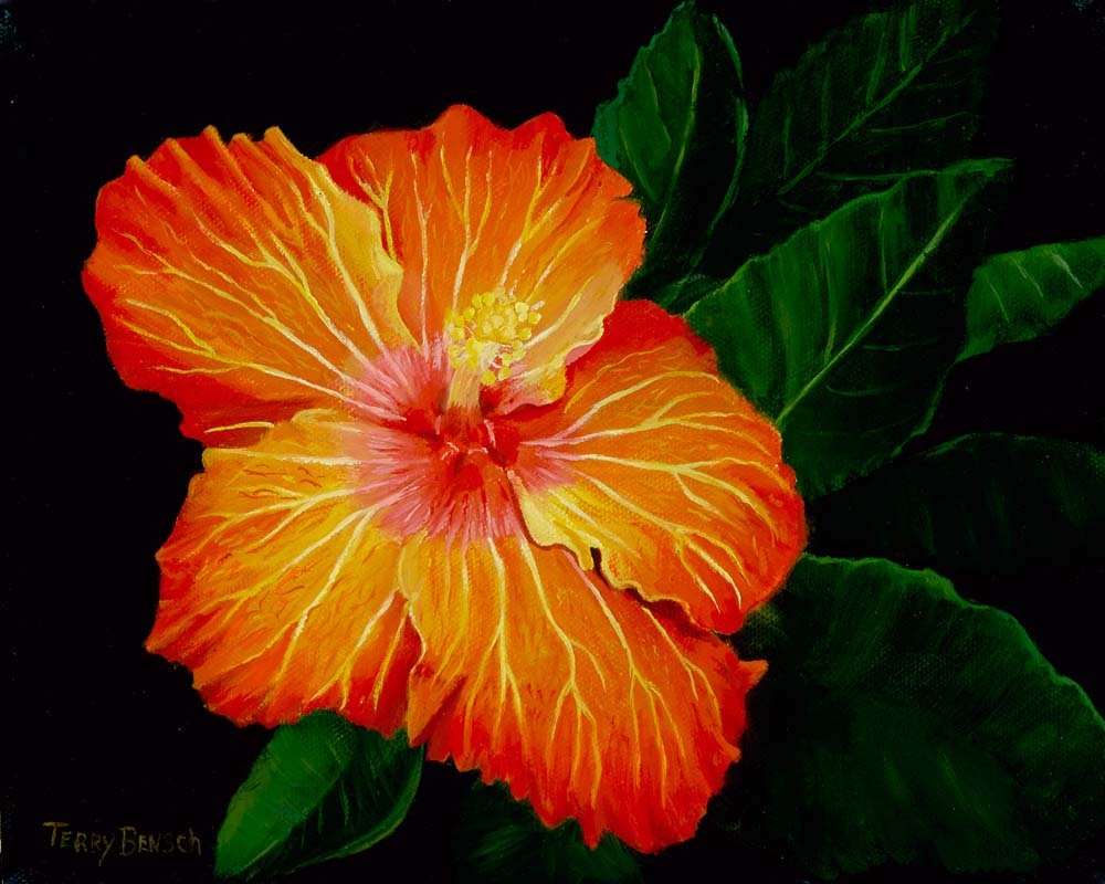 Bensch_Red Hibiscus_1000px.jpg