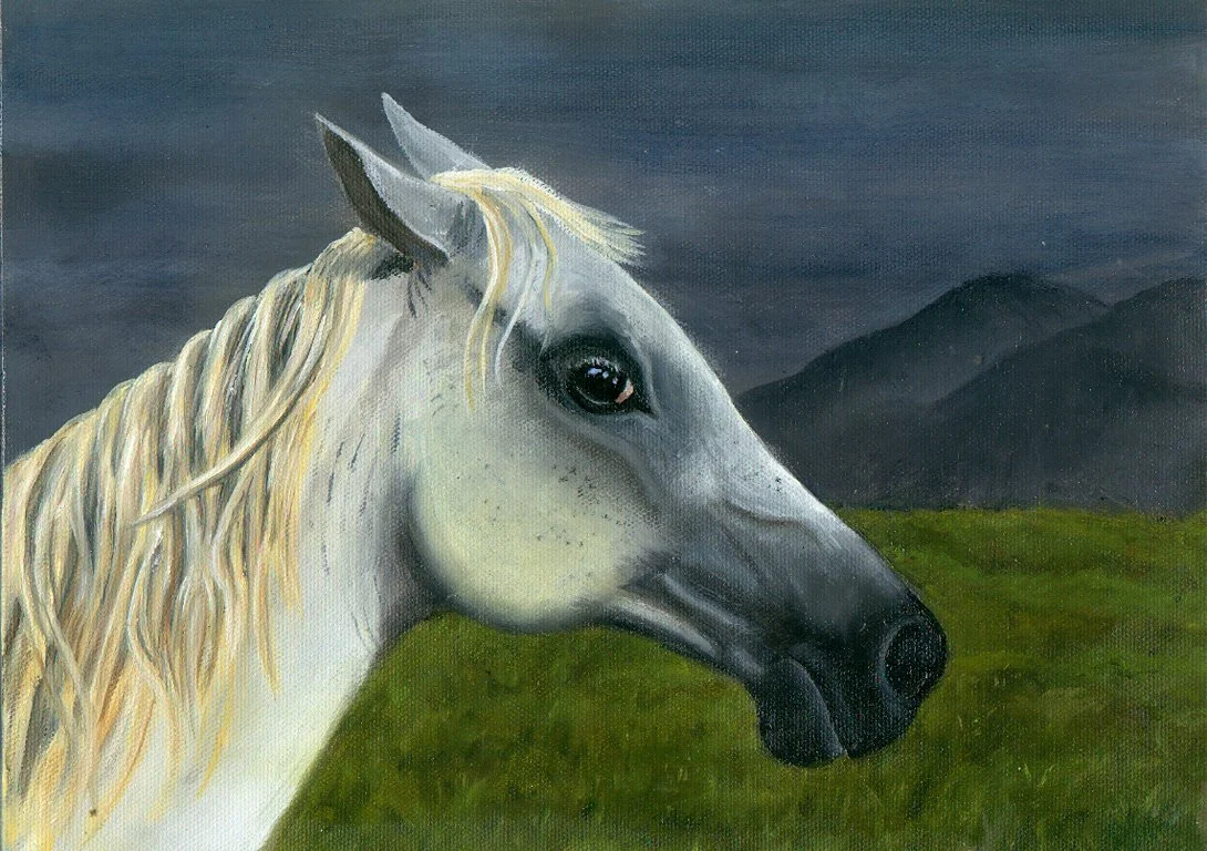 gray horse.bmp.jpg