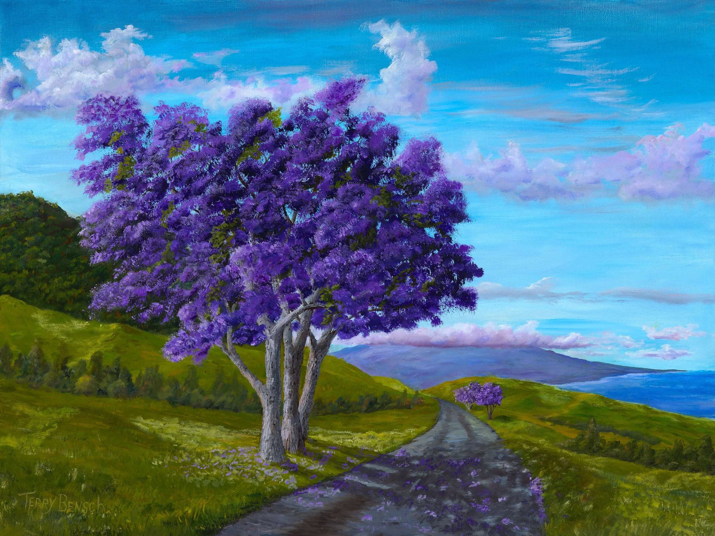 Jacaranda On Kohala  Mountain Oil on Canvas  18X24