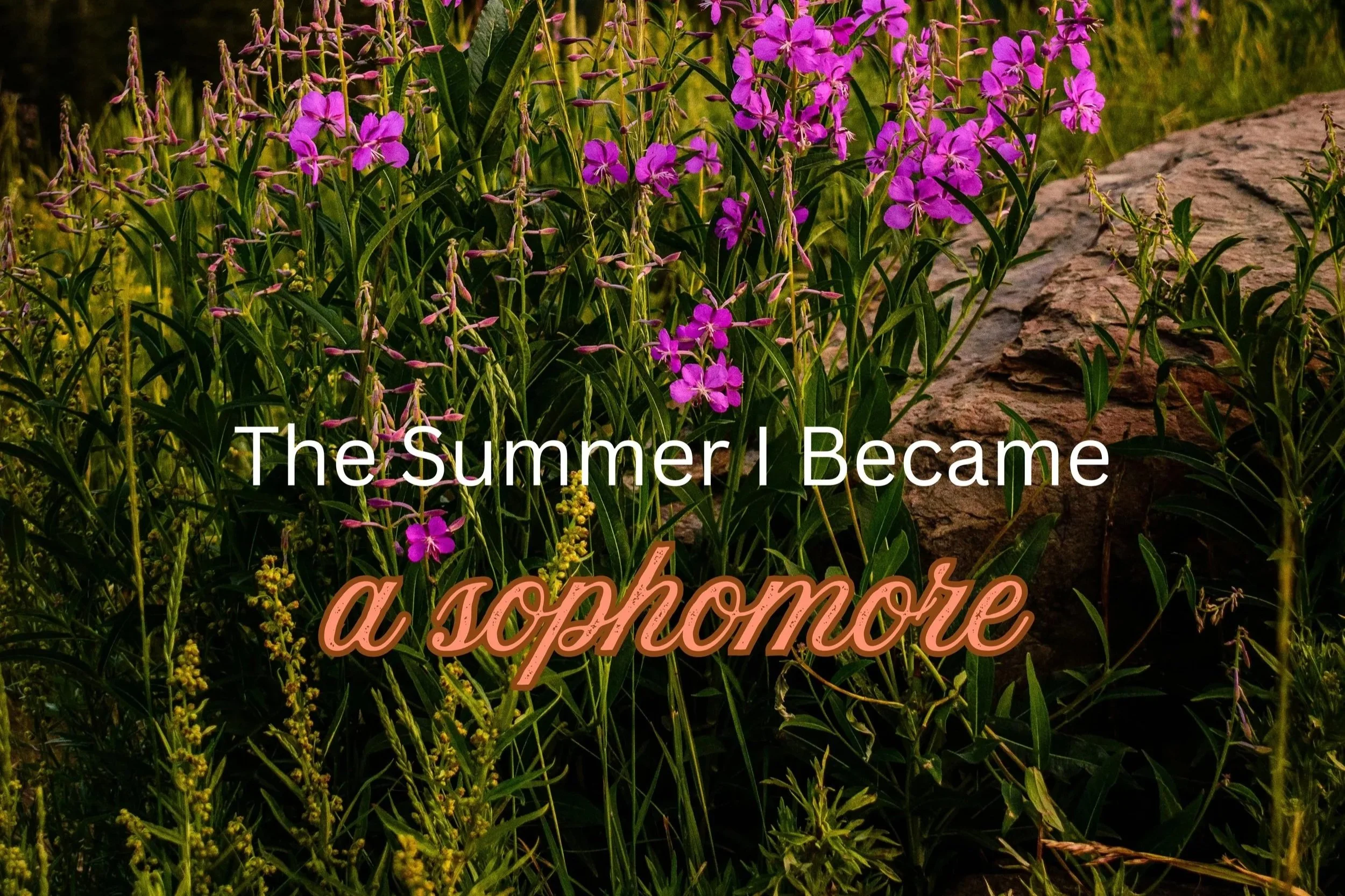 The Summer I Became…..