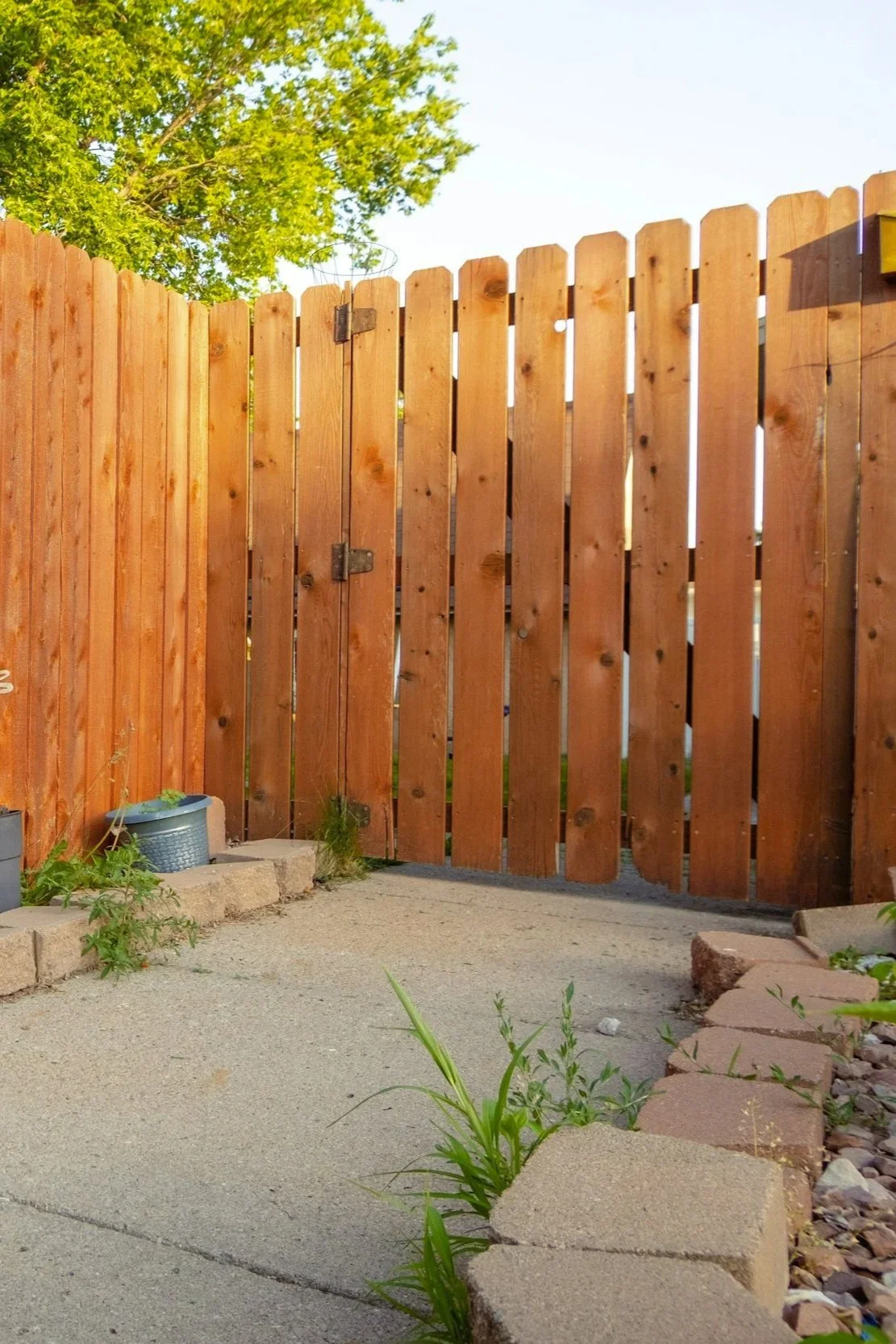 A wooden privacy fence with a gate, some plants and gardening pots at the base, and a large tree in the background under a clear sky.