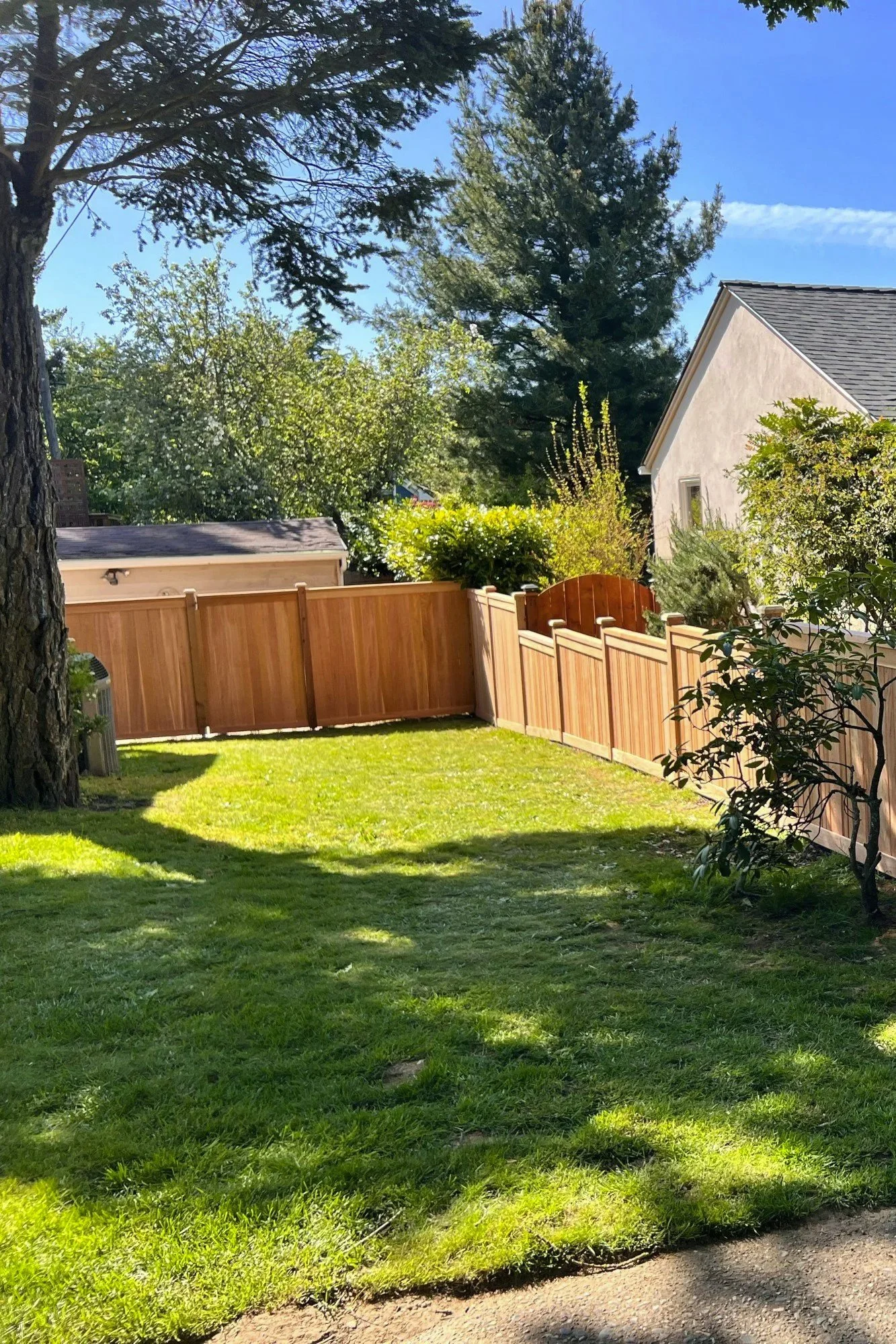 A backyard with green grass, a wooden fence, trees, bushes, and neighboring houses under a blue sky.
