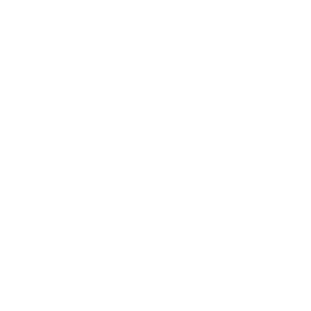 A stopwatch with a lightning bolt symbol and motion lines indicating speed or urgency.