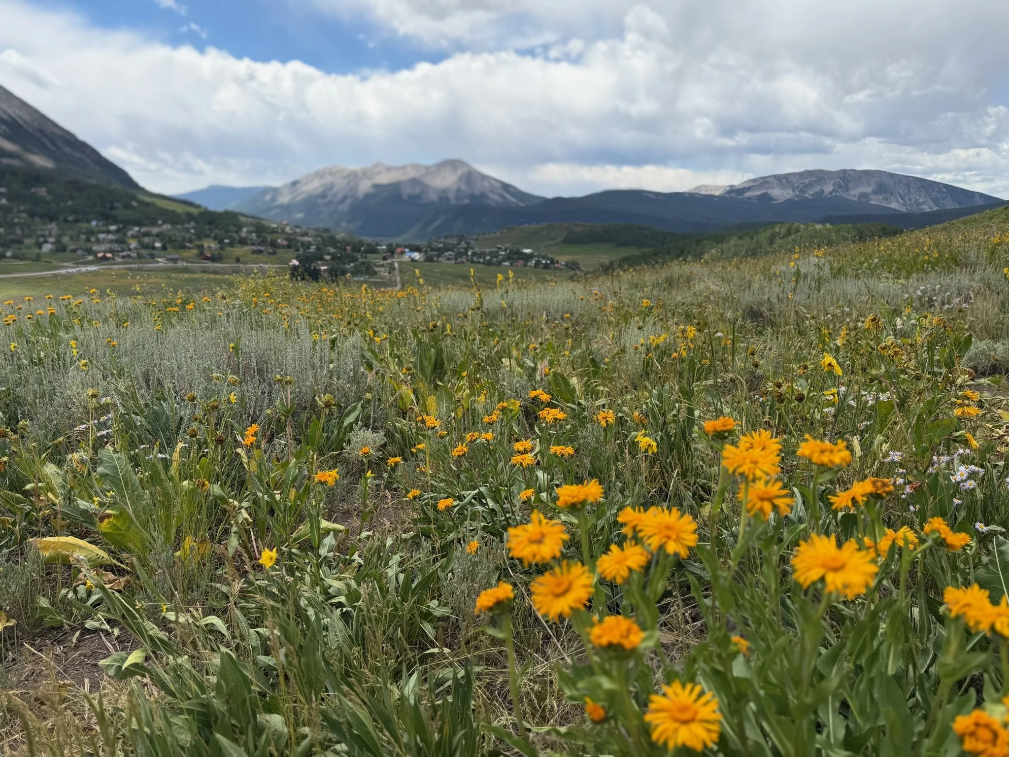 A Day in Crested Butte 