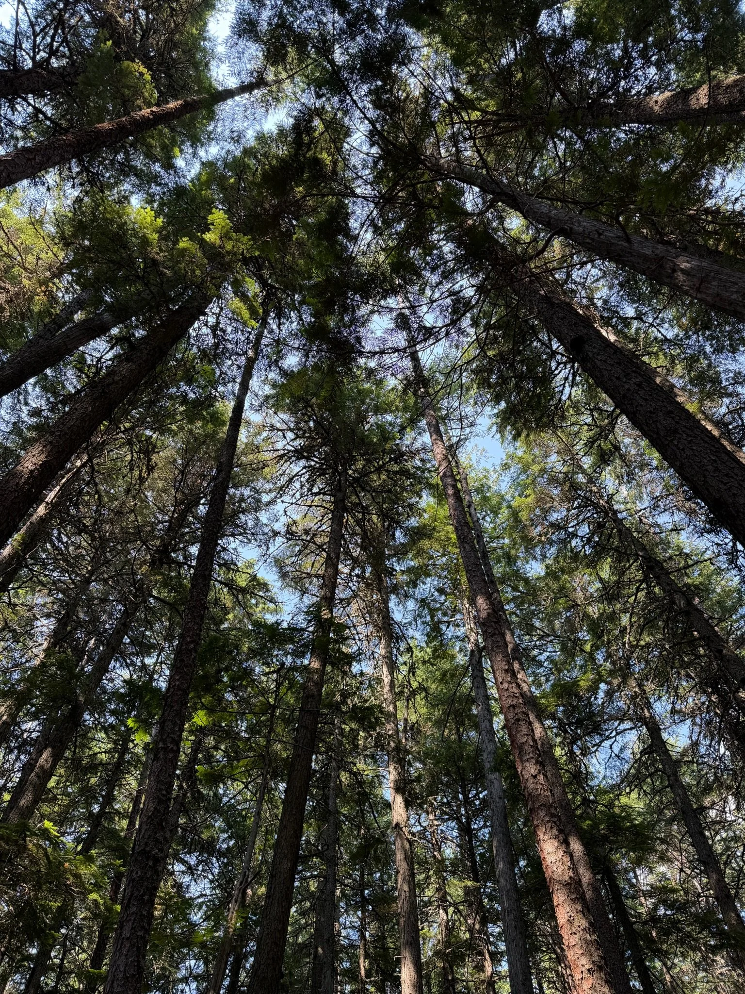The Best National Parks for Families Who Want Adventure, Not Just Sightseeing