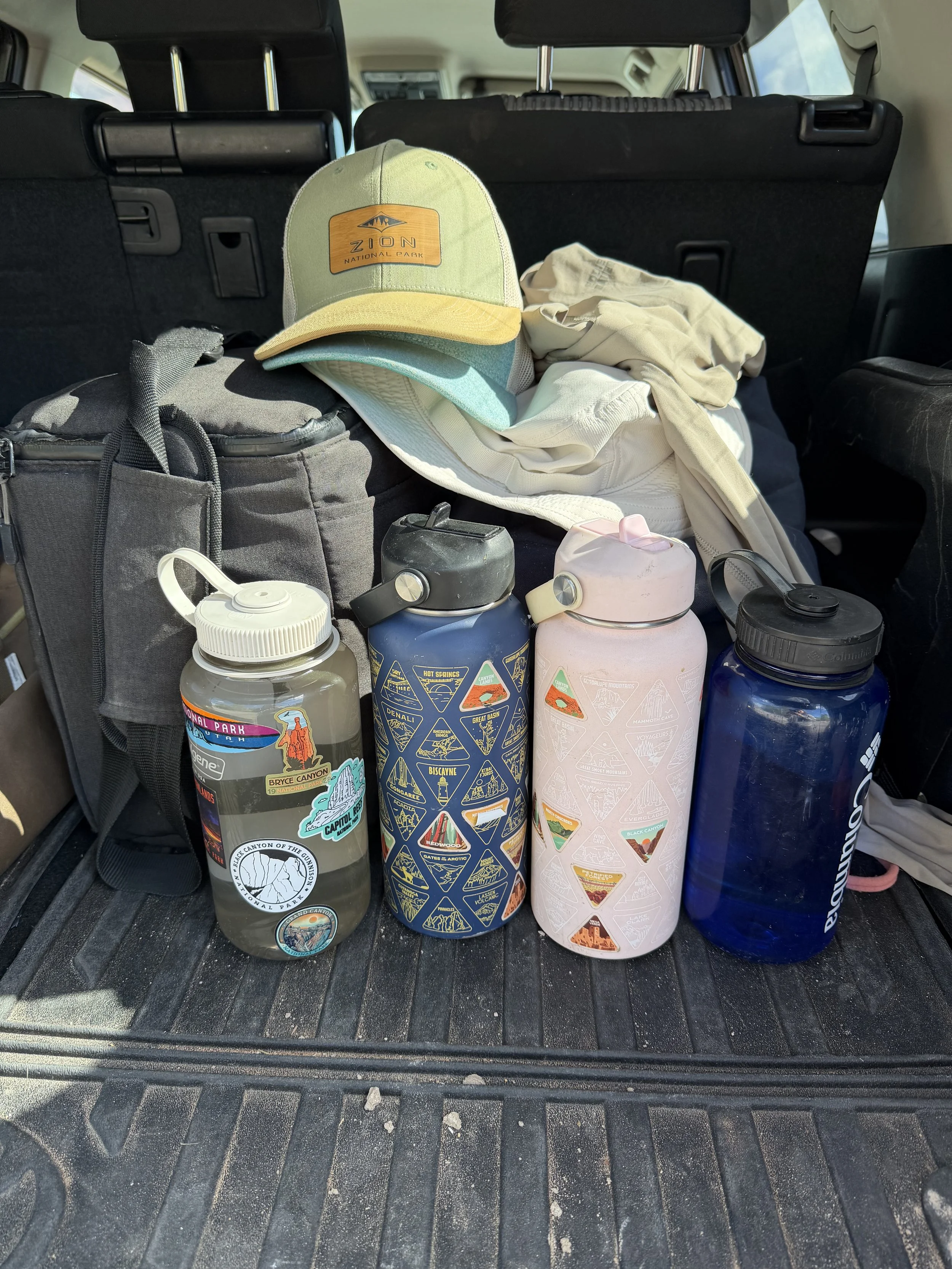 What We Actually Pack for a National Park Day With Three Kids