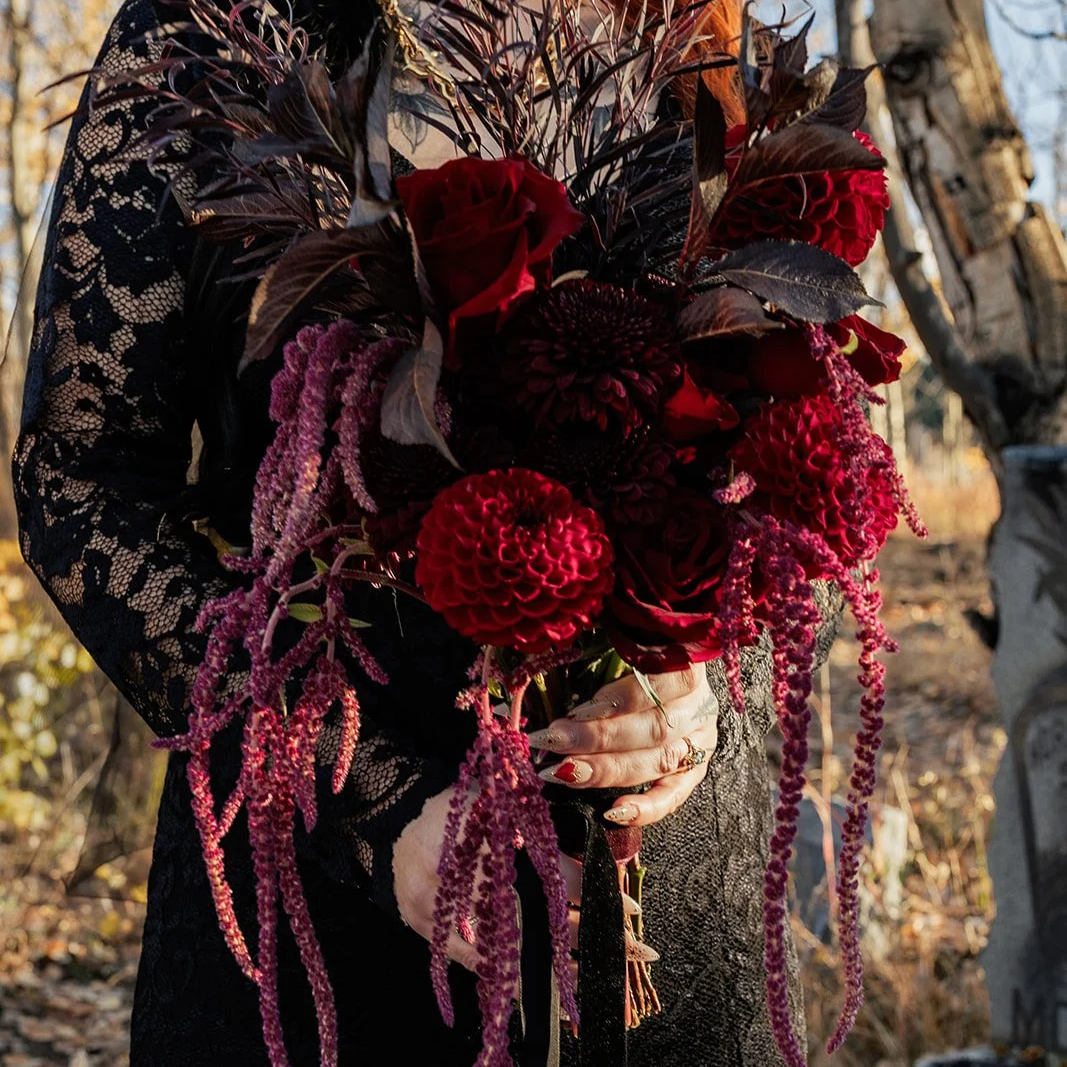 Dark and moody textural gothic alternative bridal bouquet of dark red and burgundy flowers, including roses and dahlias, with some hanging amaranthus, outdoors cemetery Colorado Mountain Elopement.