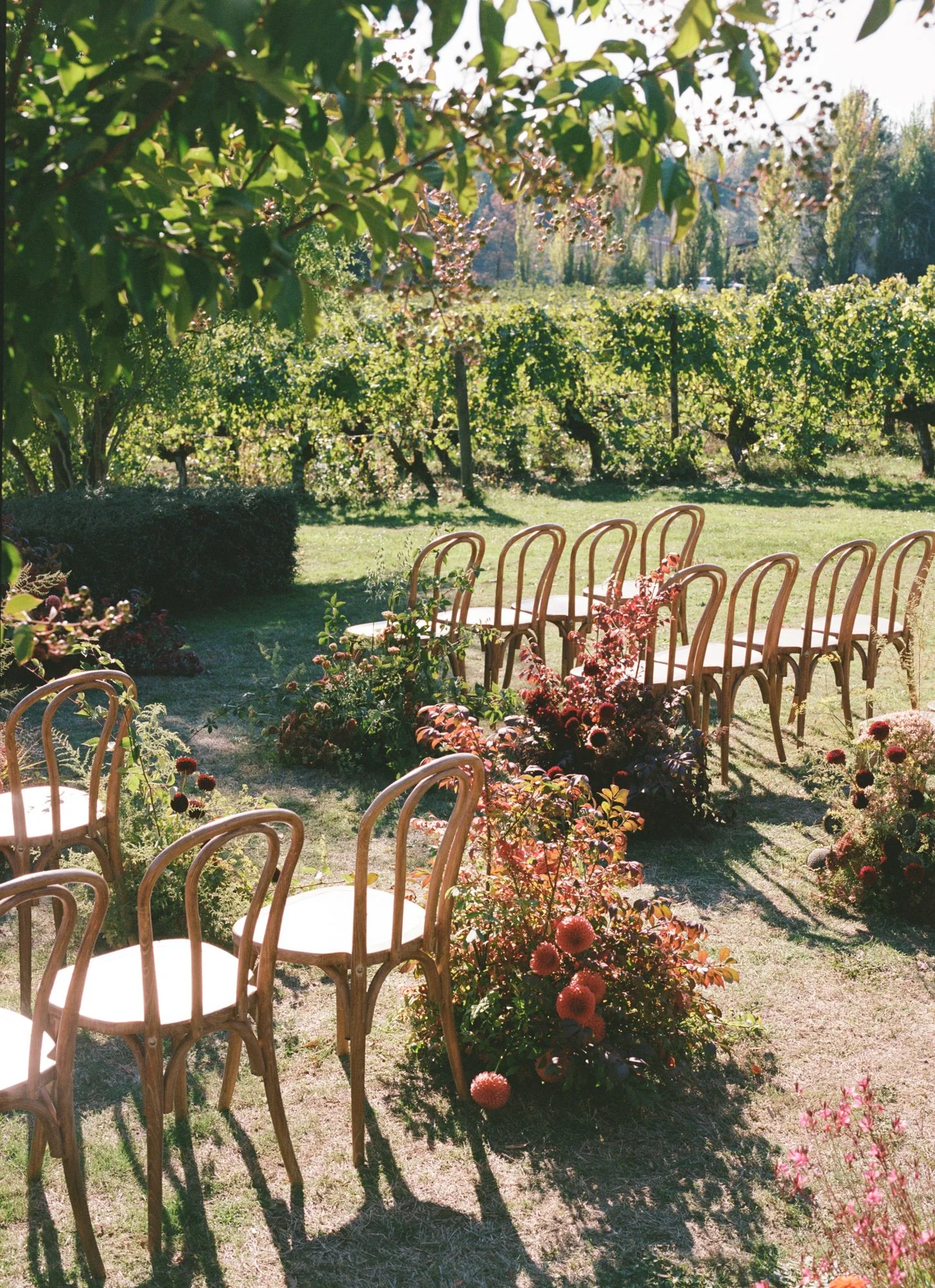oregon-vineyard-sosta-house.jpg