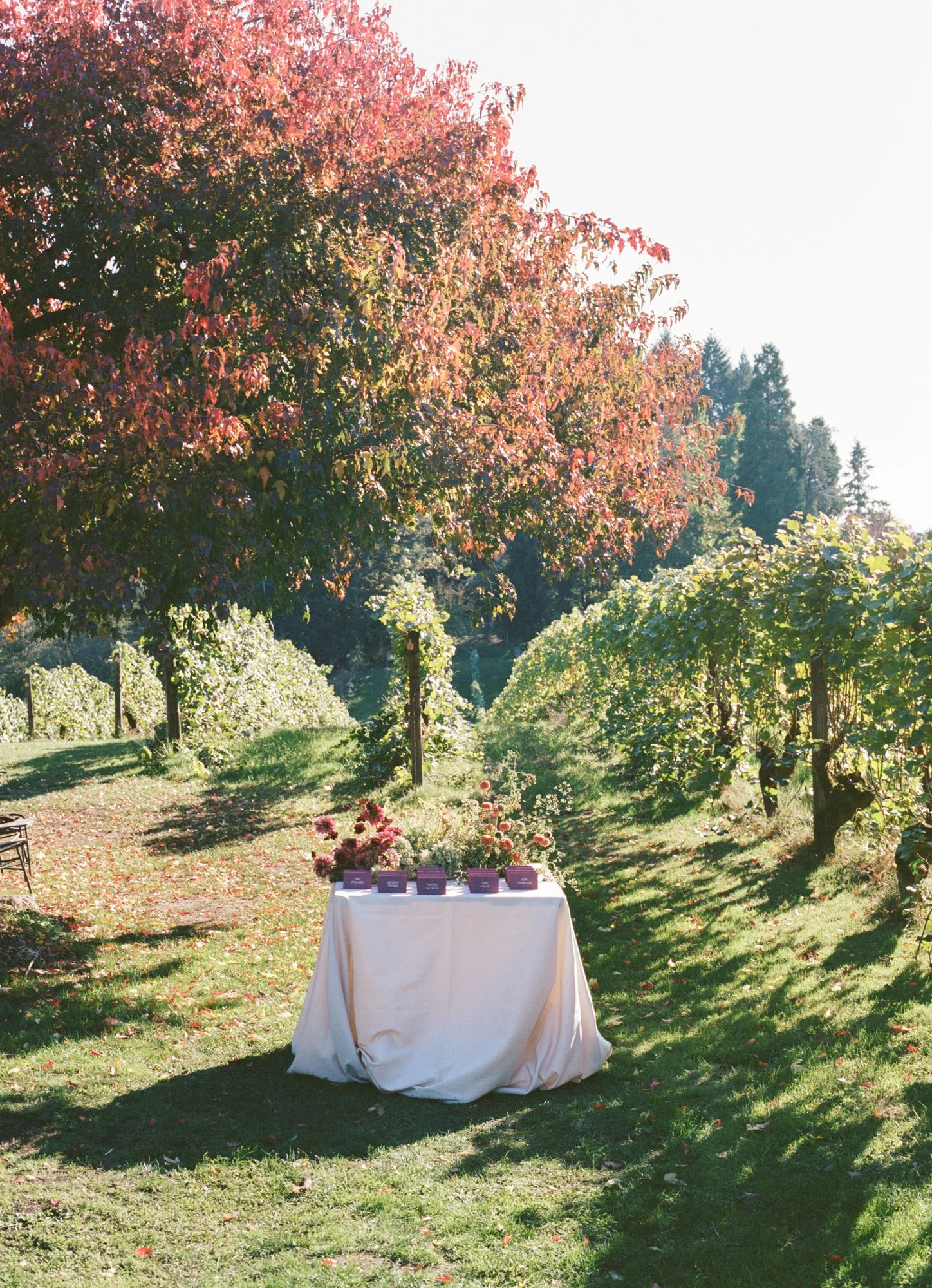 oregon-wine-country-table-seating.jpg