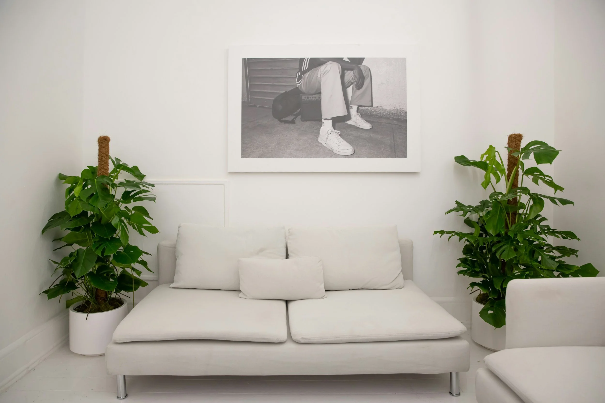 A white sofa with cushions in a room with white walls, flanked by two potted green plants, and a black-and-white photograph hanging on the wall behind it.
