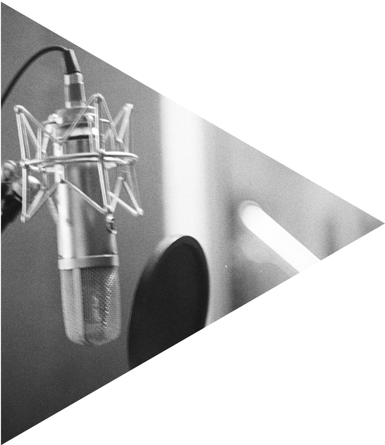 A professional studio microphone with a shock mount and pop filter in a recording booth.