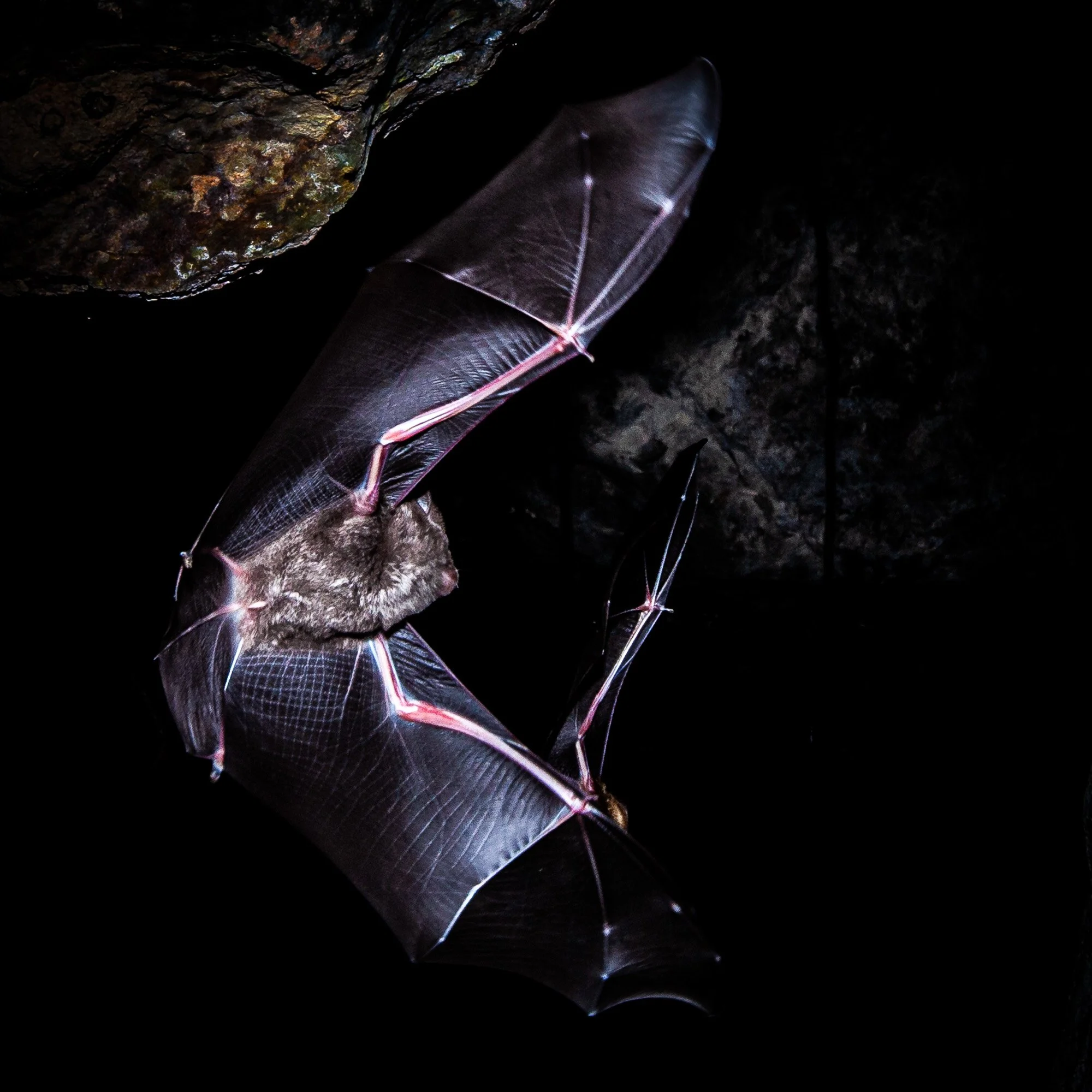 website underwater 26-4.jpg