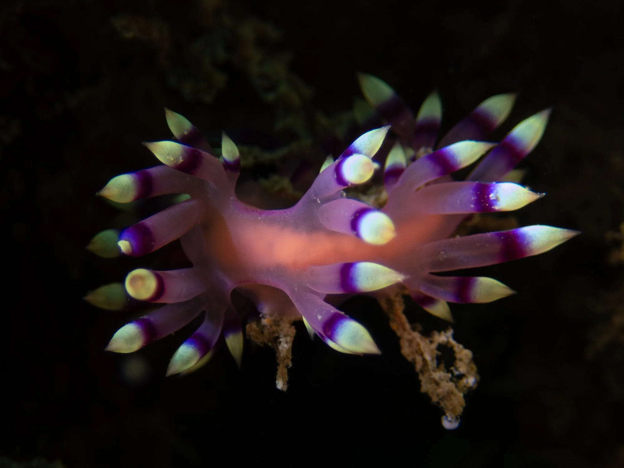 website underwater 26-12-2.jpg