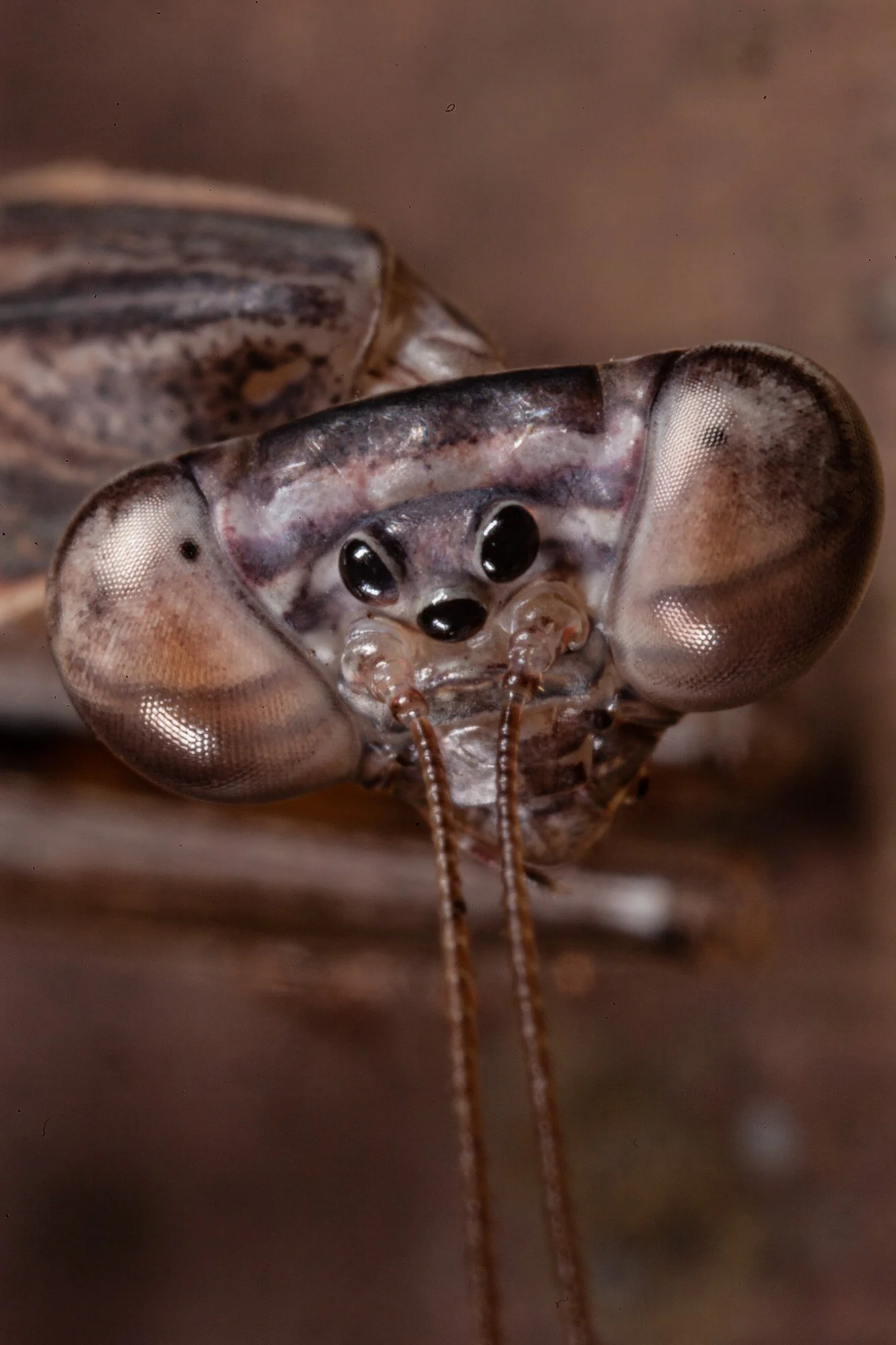 website underwater 26-9.jpg