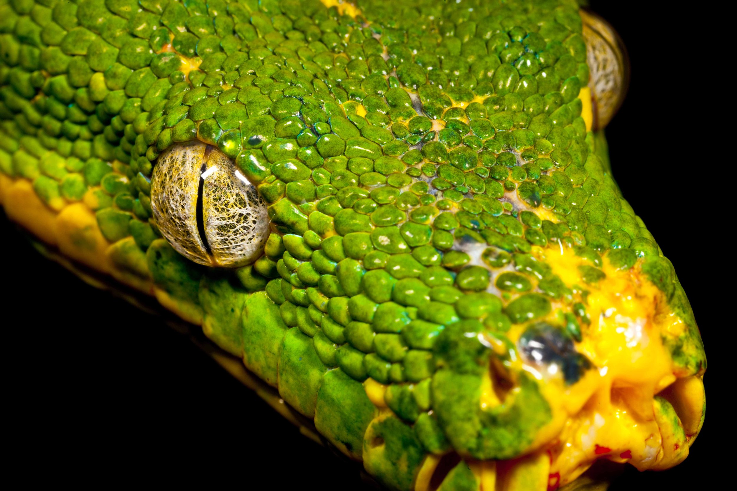 20100602-PNG photos-9824 08-53-39-124.jpg