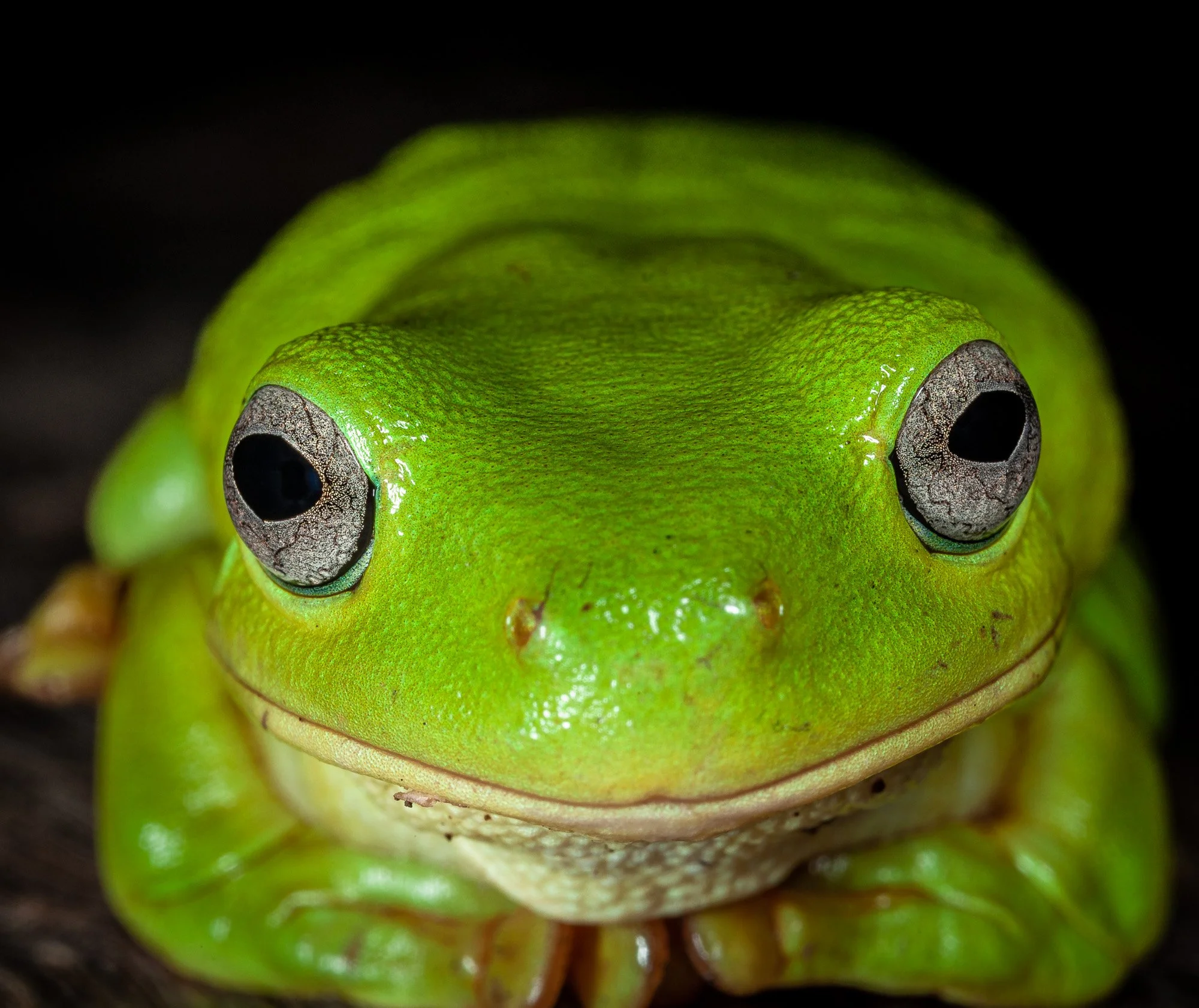 website underwater 26-10.jpg