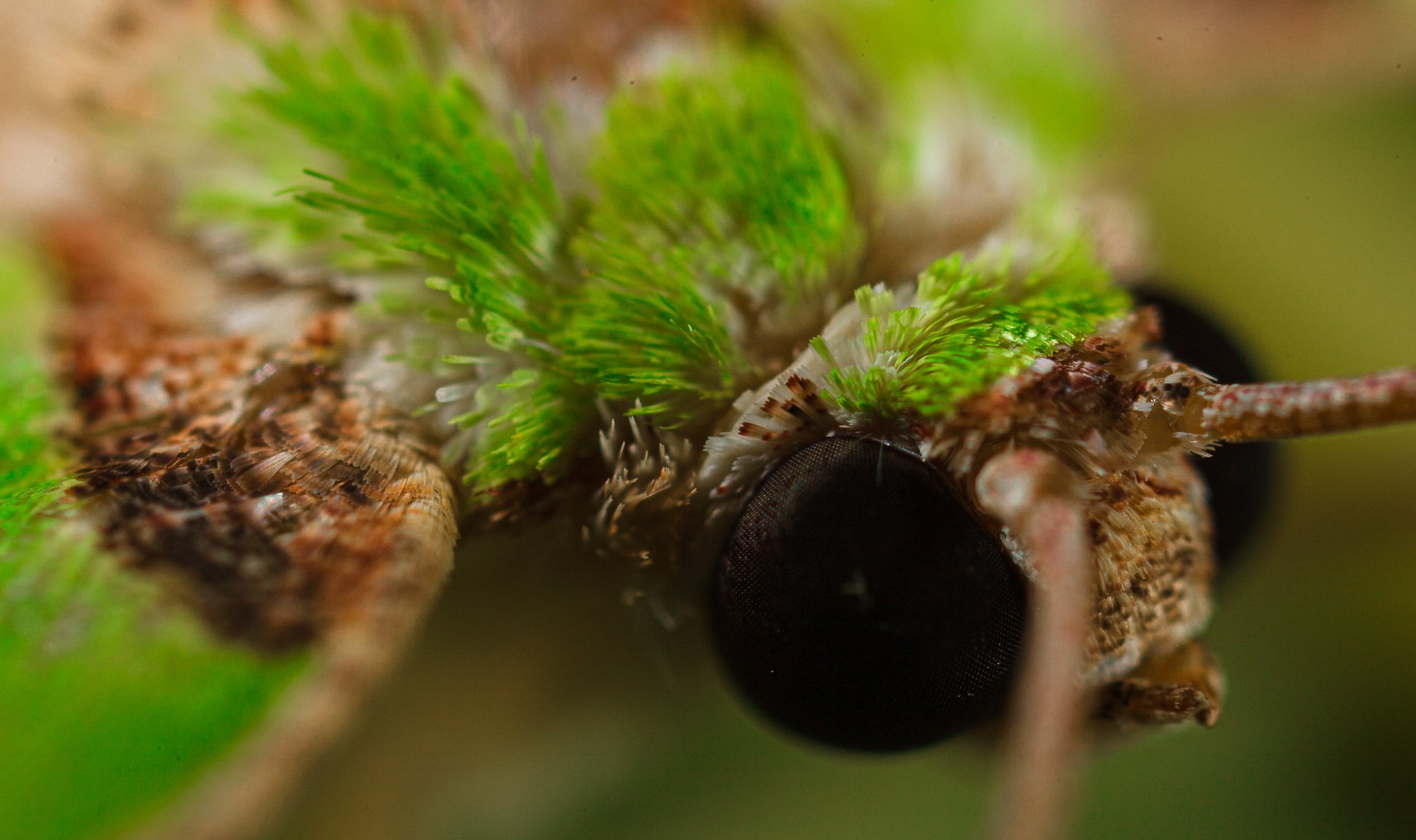 website underwater 26-1.jpg