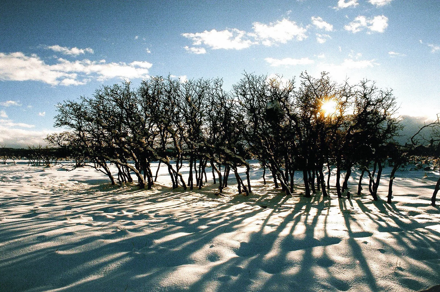 0243_14A.jpg