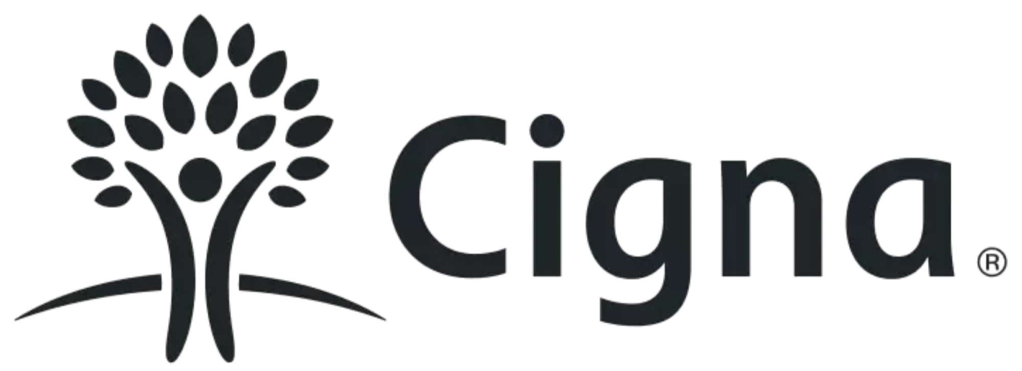 Logo with a stylized plant and the word 'Ciana'