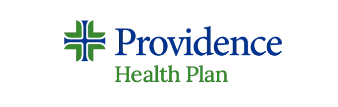 Logo with a cross symbol and the text 'Providence' in blue, and underneath, smaller green text reading 'Rehab & Play'.