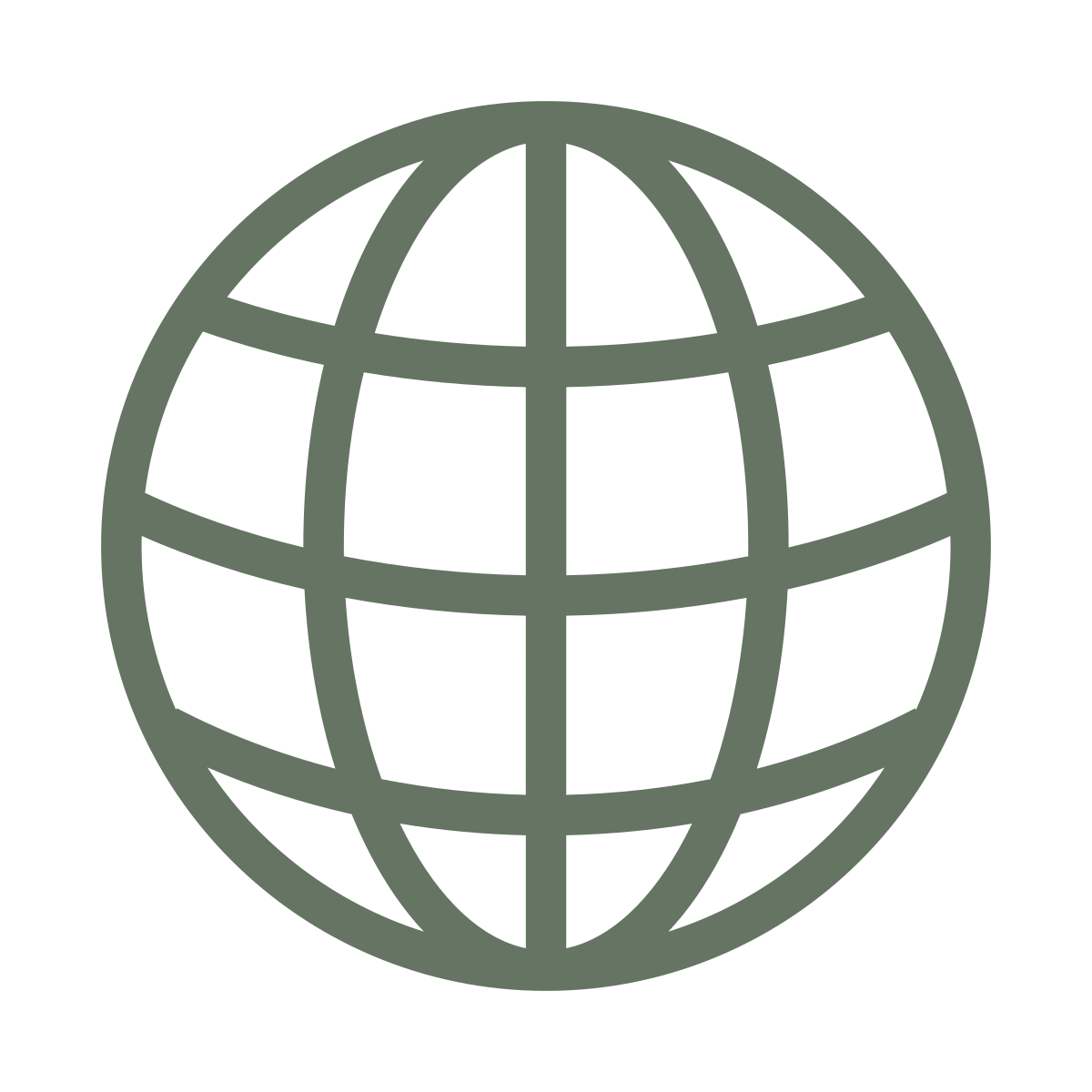 Icon of a globe with latitude and longitude lines.