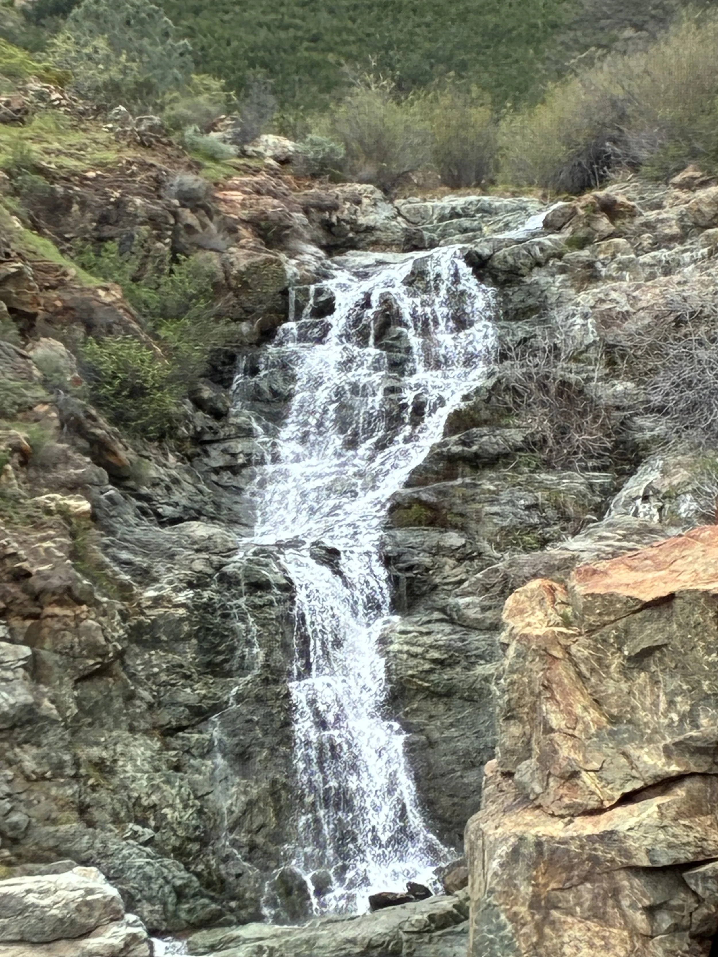 A waterfall cascading over rocks in a natural forest setting with greenery and trees in the background.