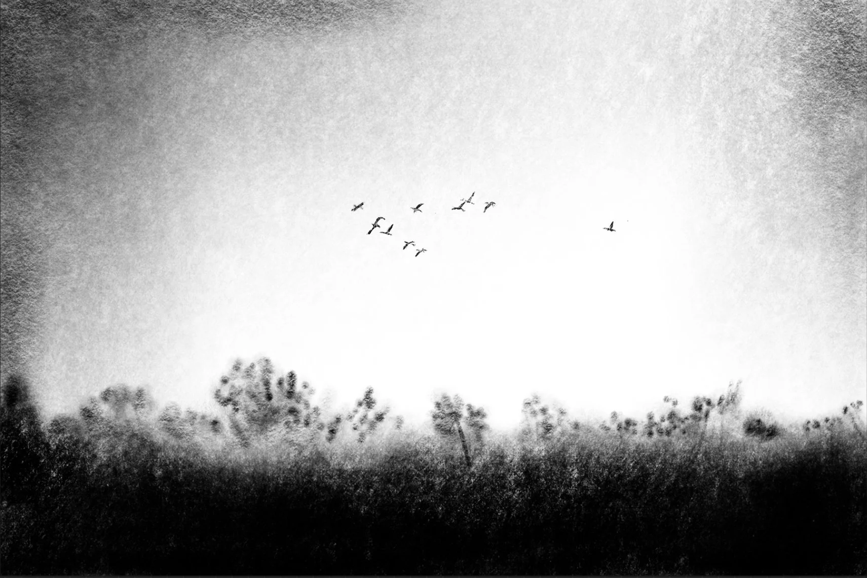 An Ode to Sandhill Crane Migration & My Own Bosque Memories